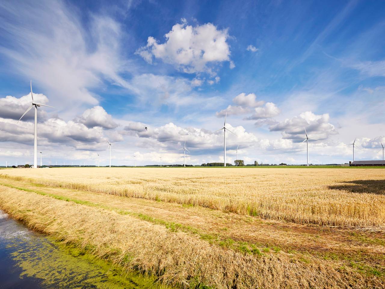 Omroep Brabant