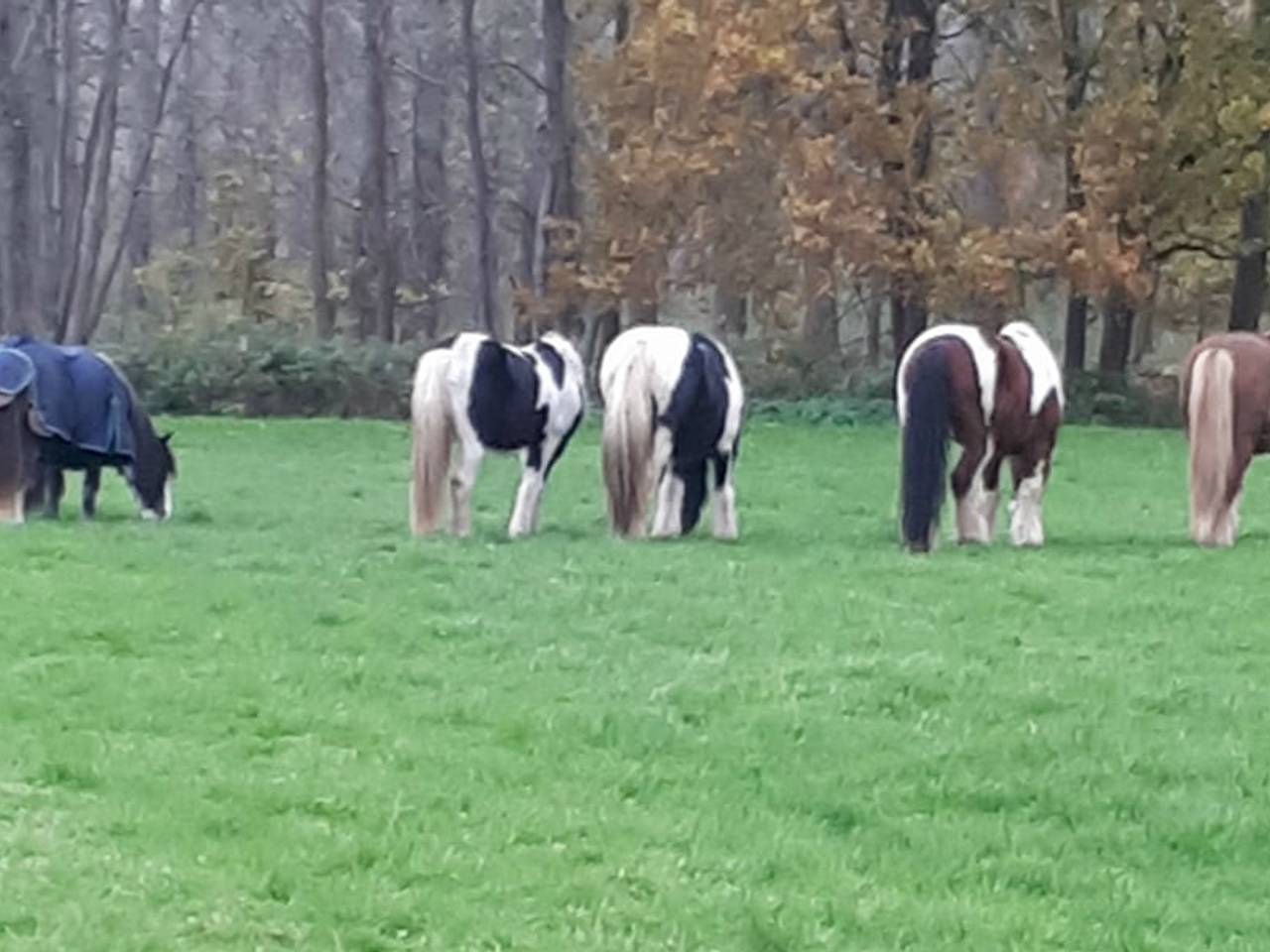 Omroep Brabant