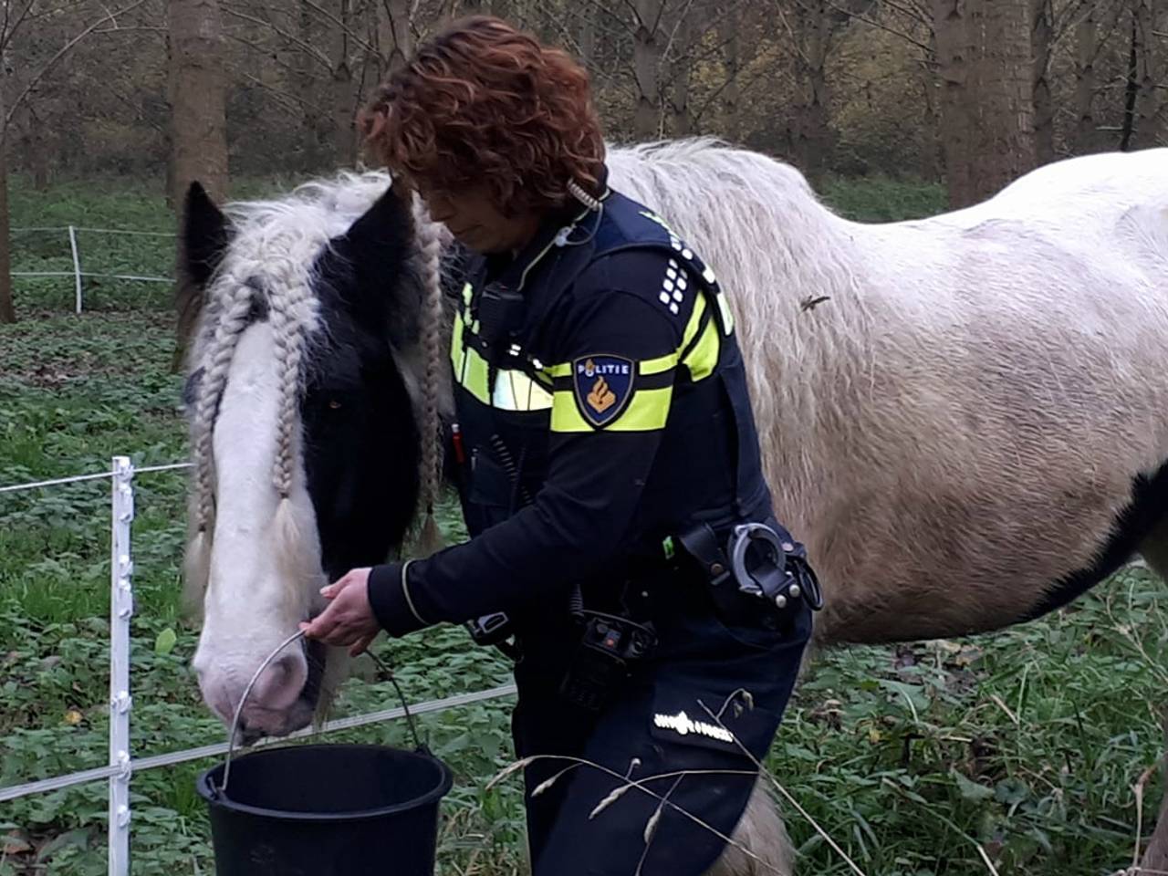 Omroep Brabant