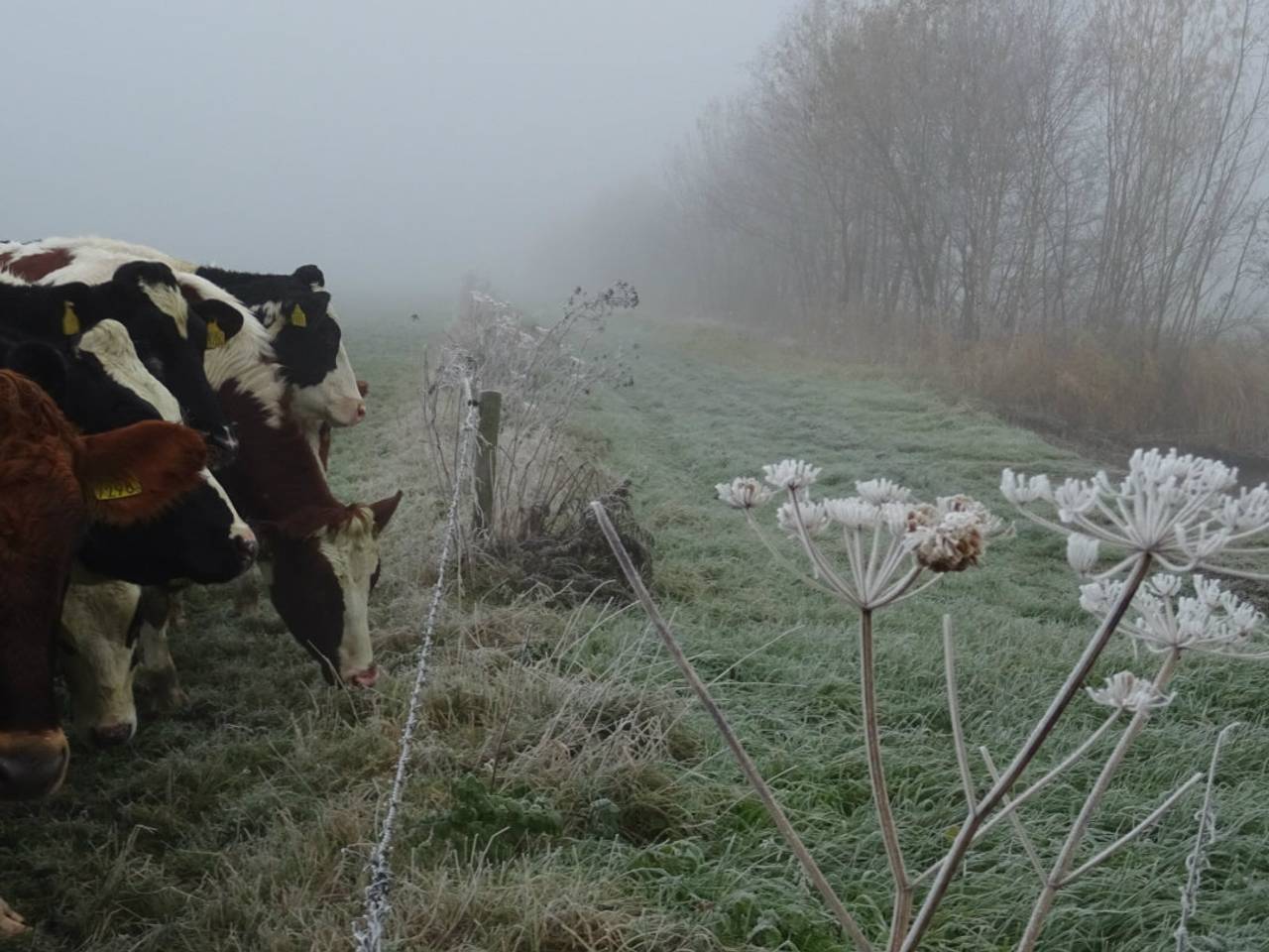 Omroep Brabant