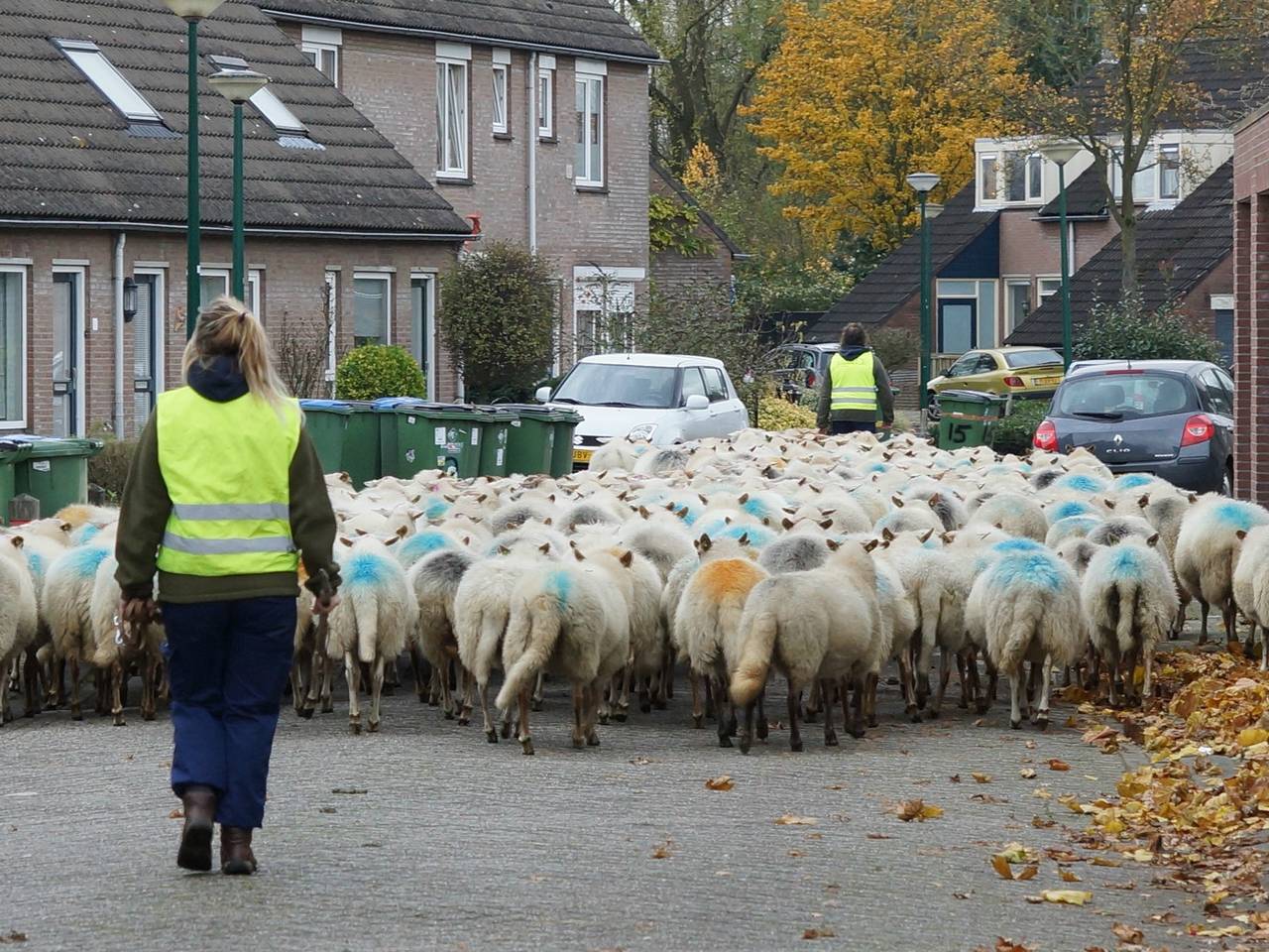 Omroep Brabant