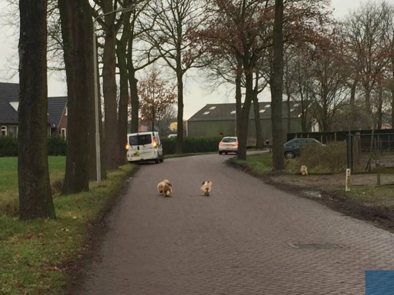 Omroep Brabant