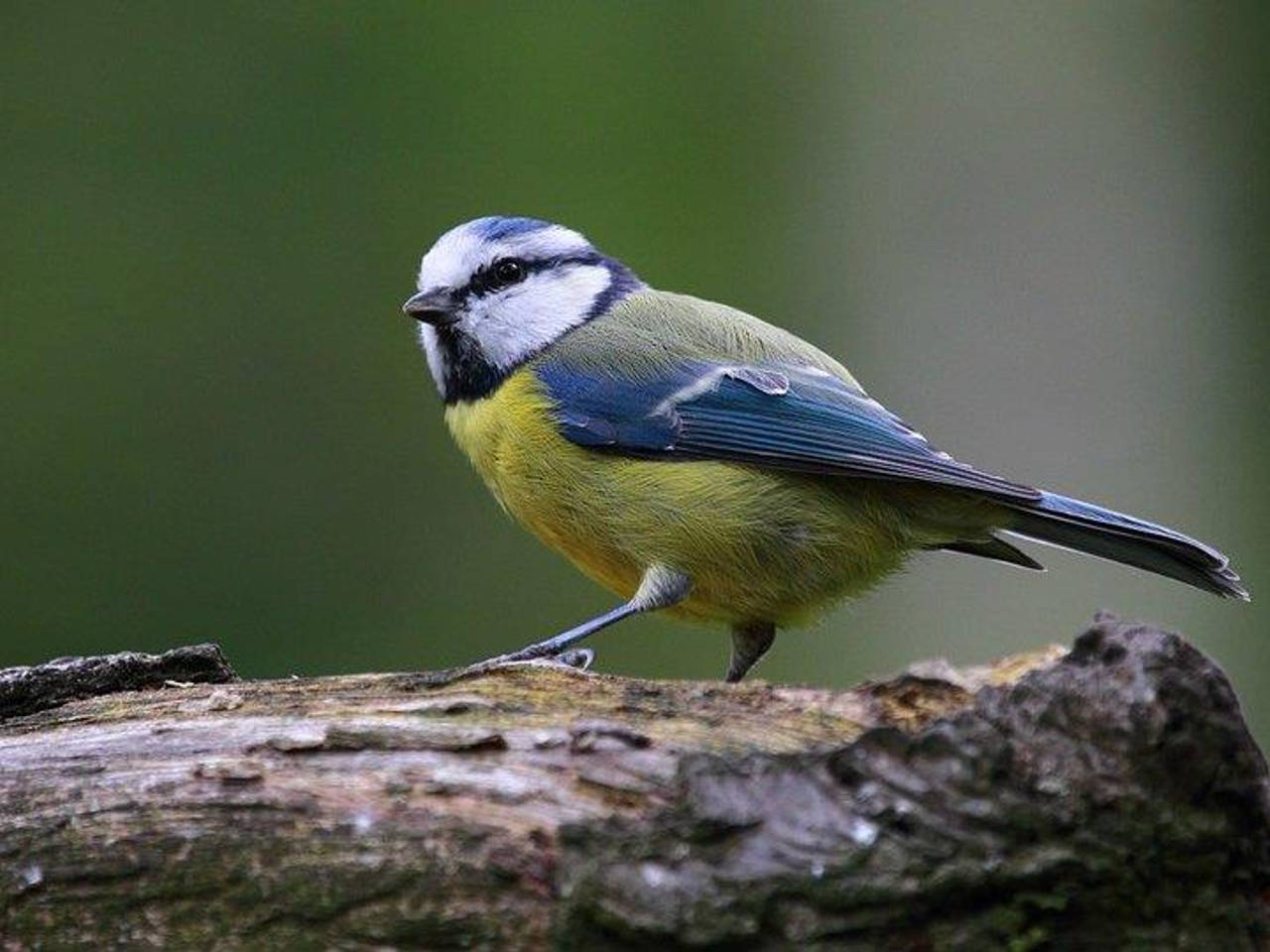 Omroep Brabant