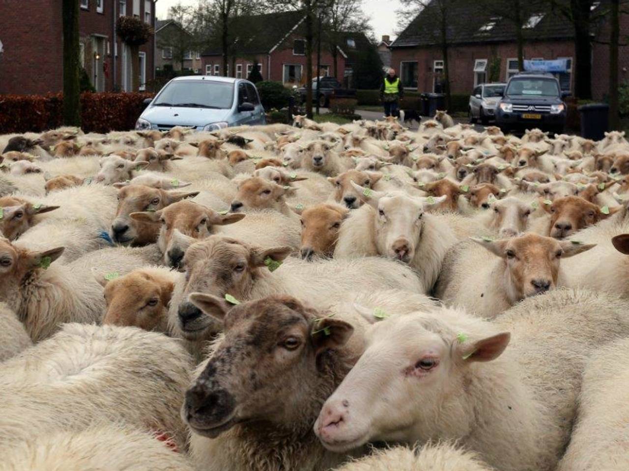Omroep Brabant