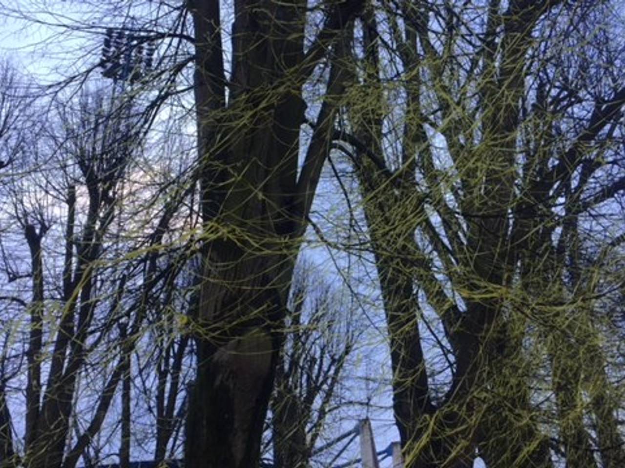 Omroep Brabant