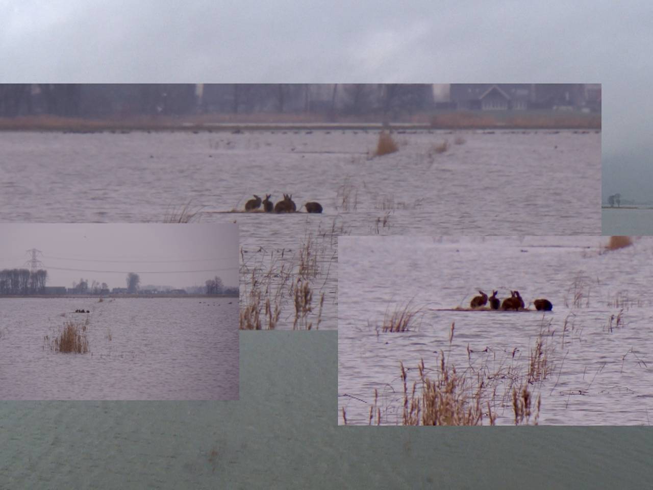 Omroep Brabant