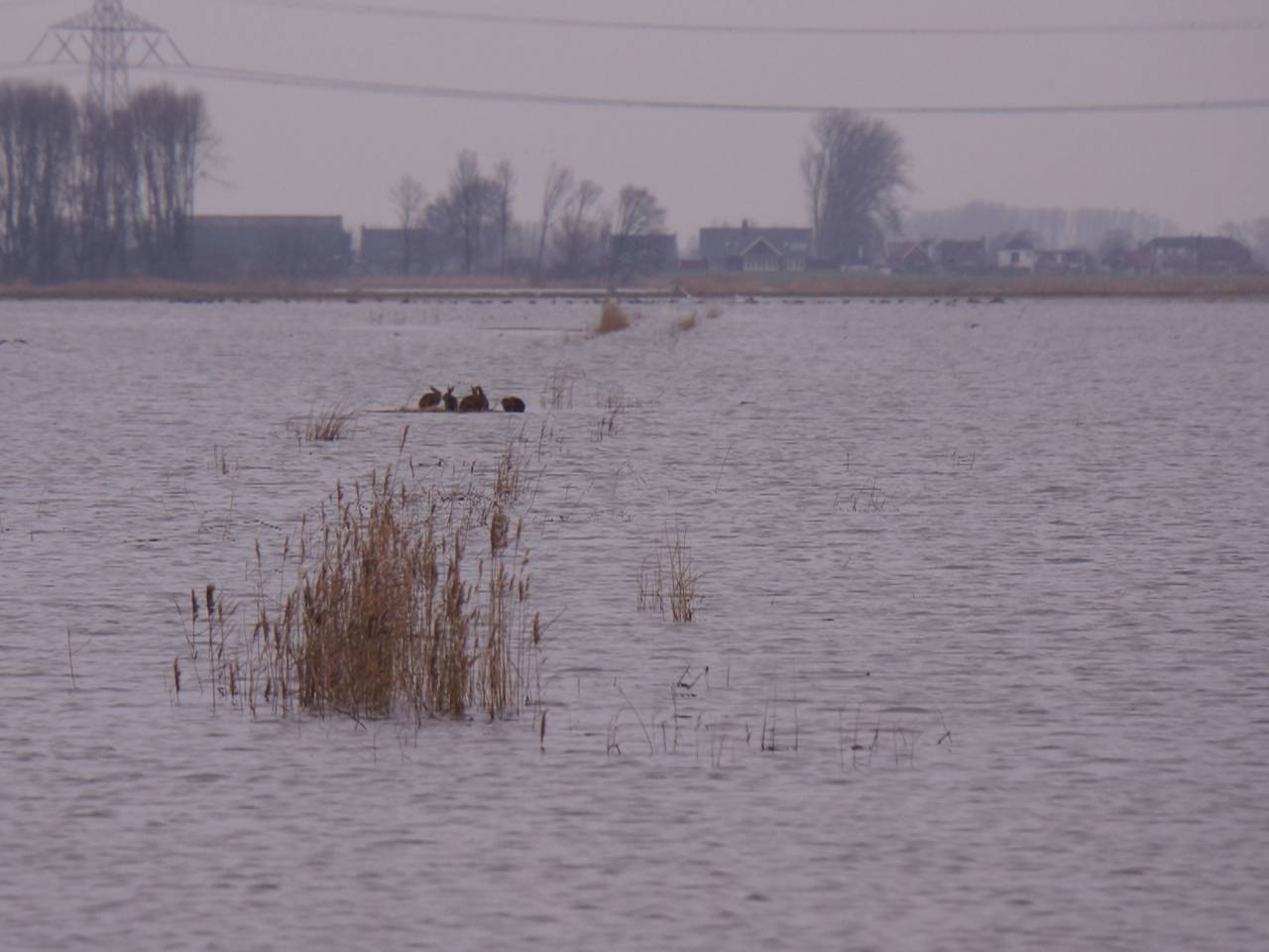 Omroep Brabant