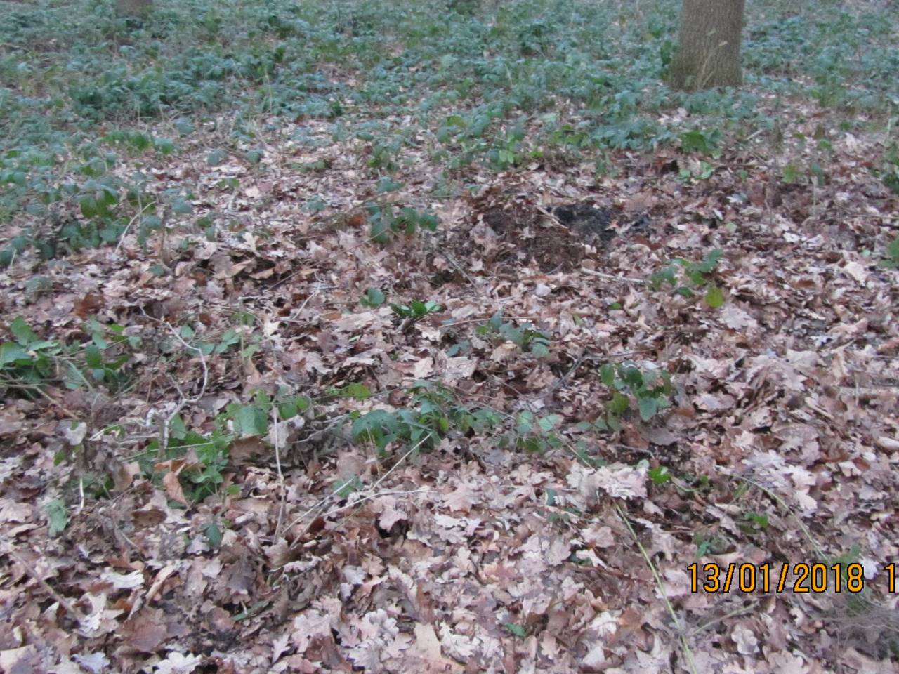 Omroep Brabant