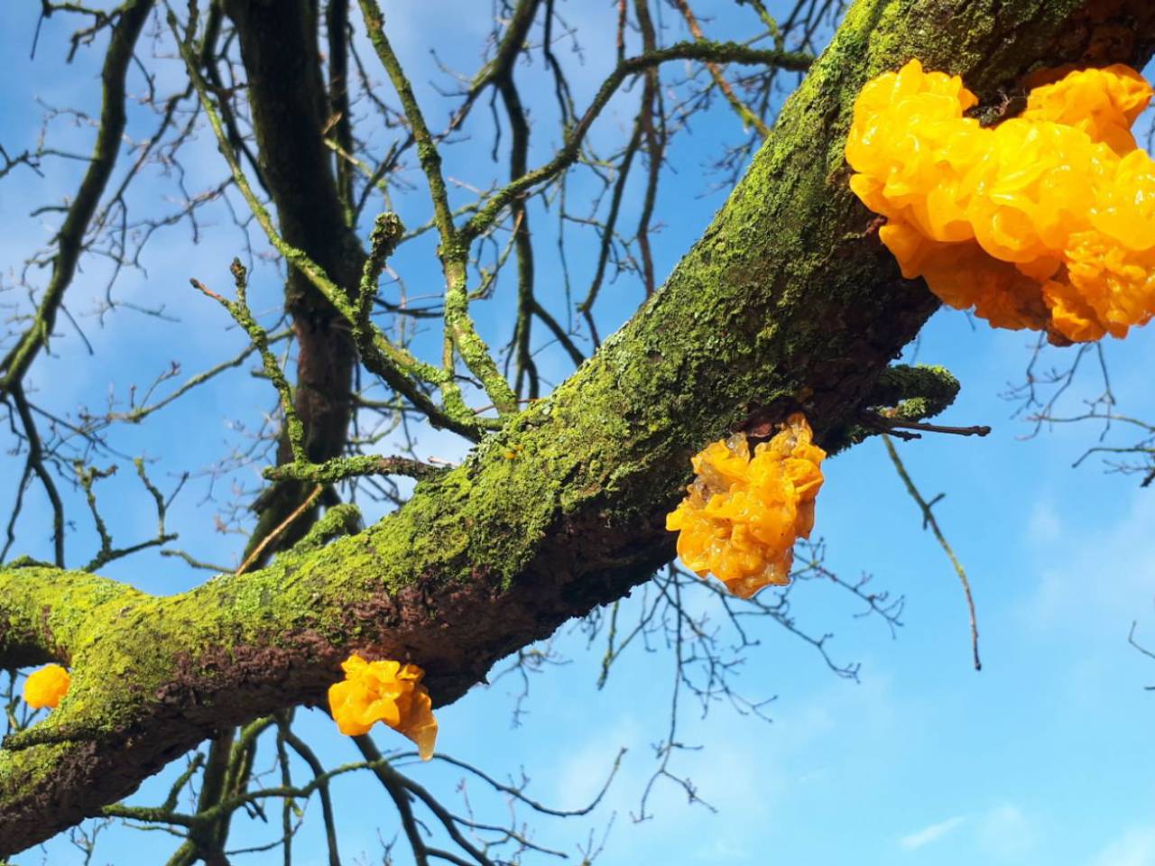 Omroep Brabant