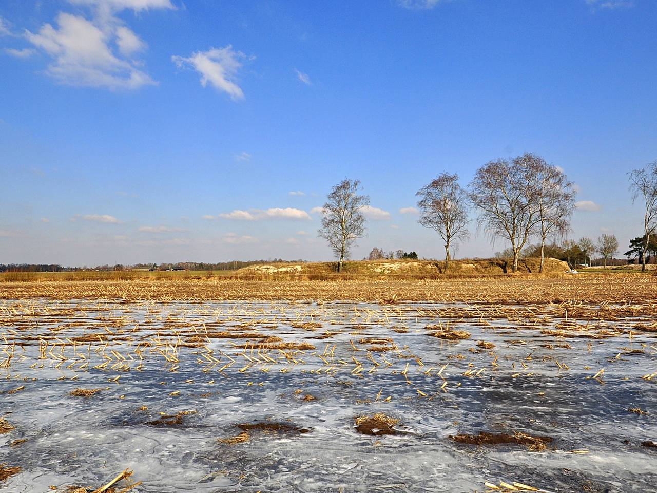 Omroep Brabant
