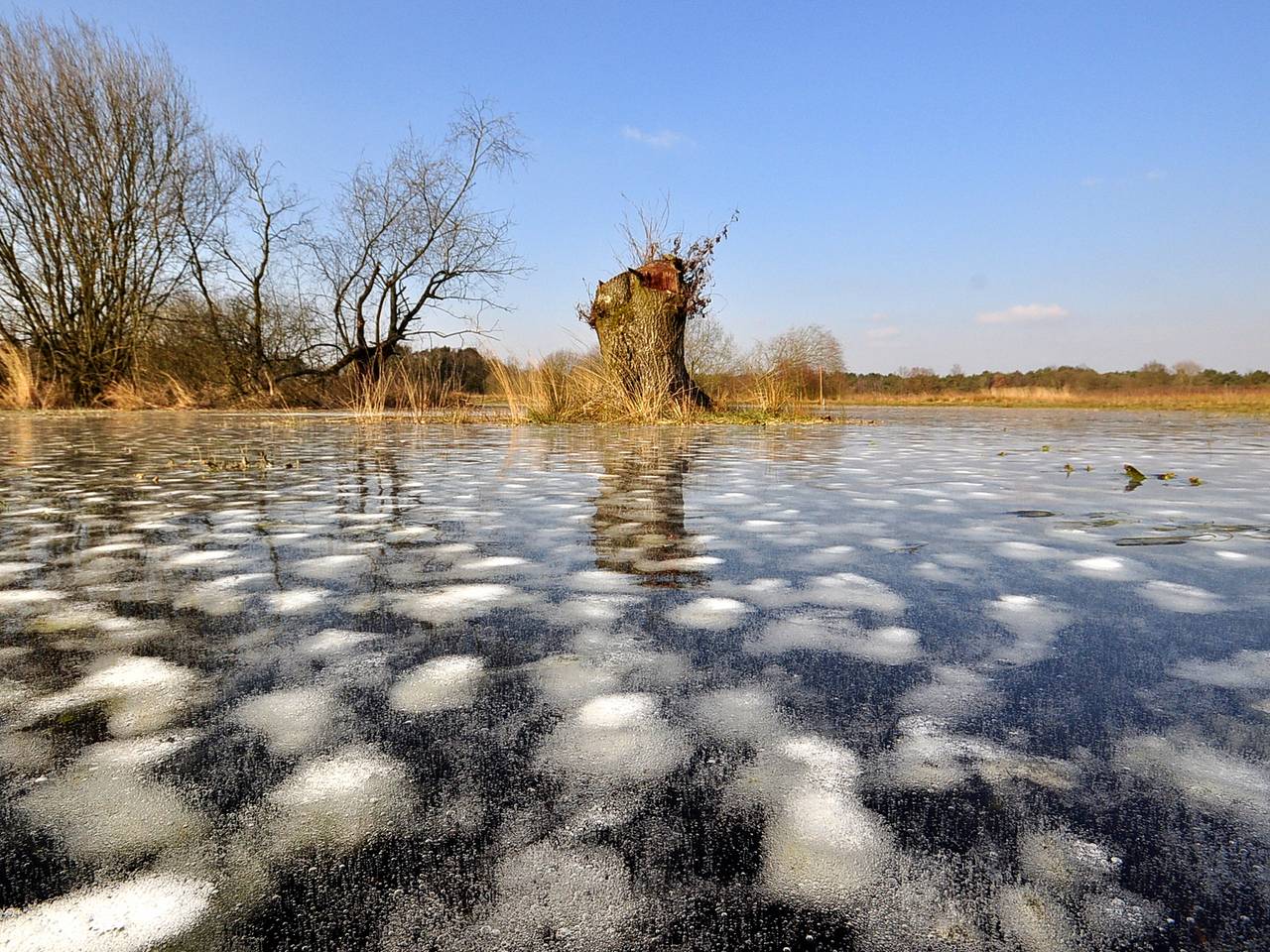 Omroep Brabant