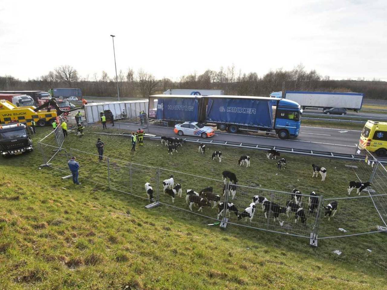 Omroep Brabant