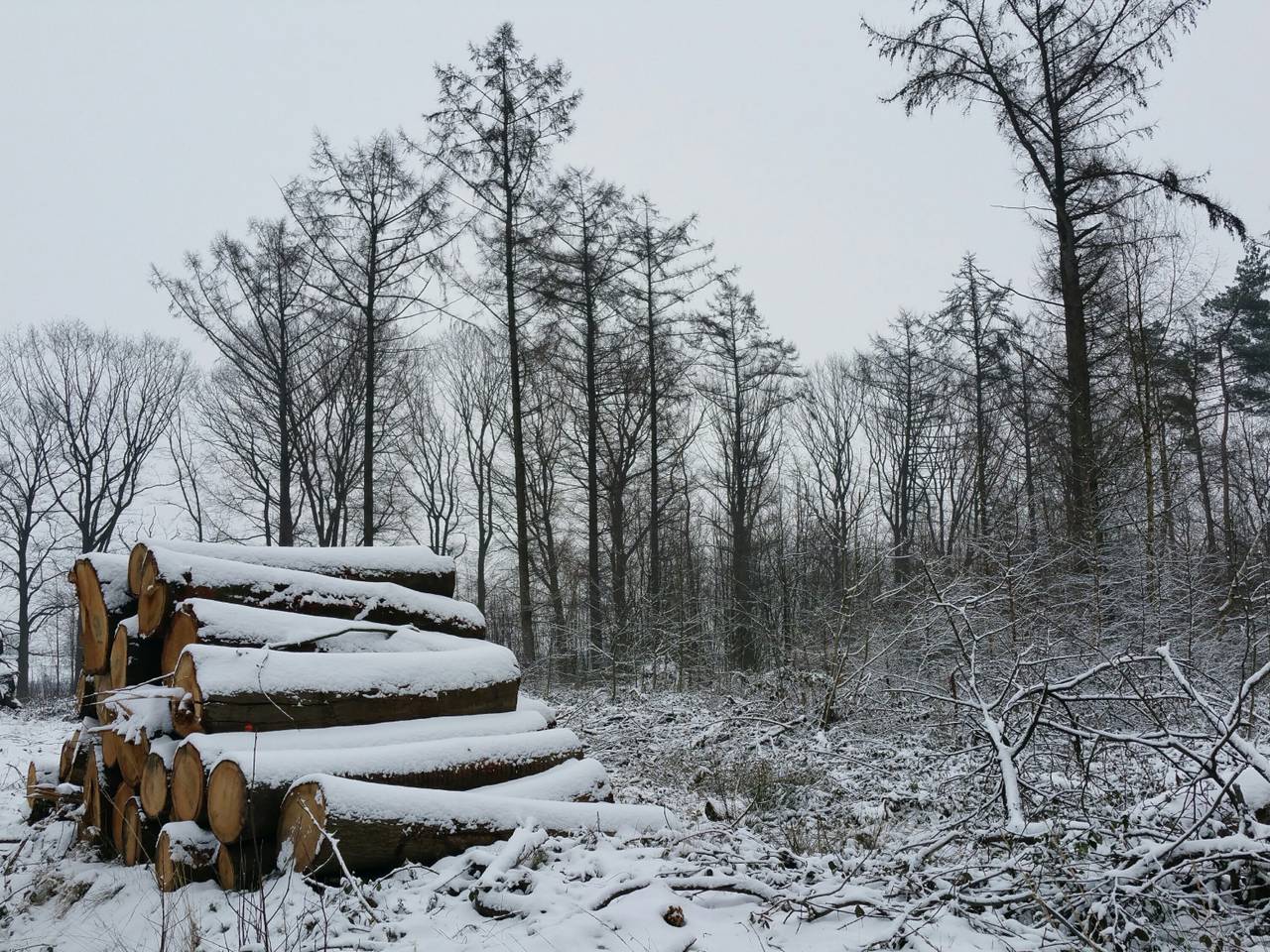 Omroep Brabant