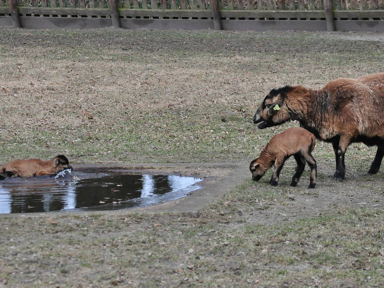 Omroep Brabant