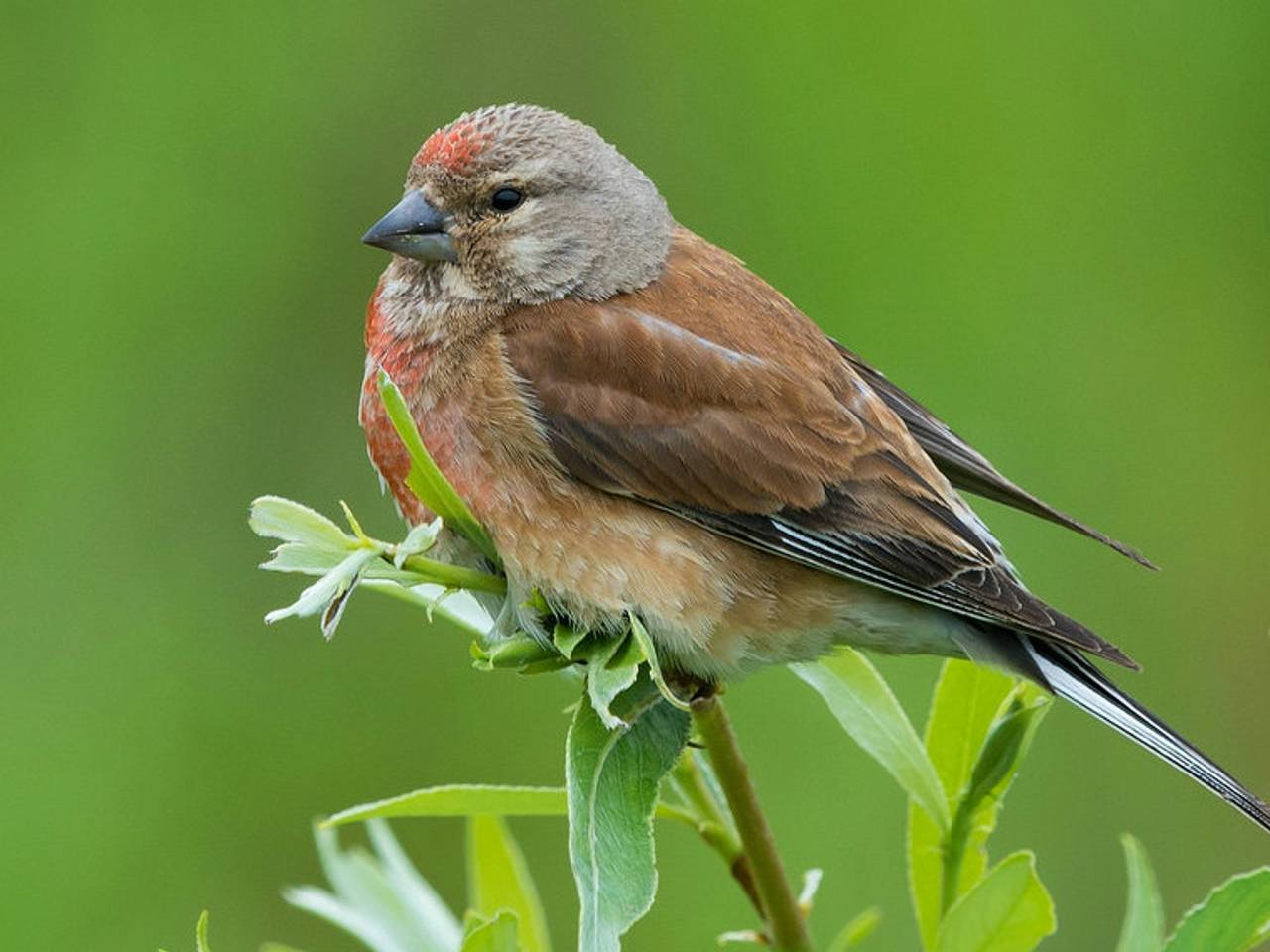 Omroep Brabant