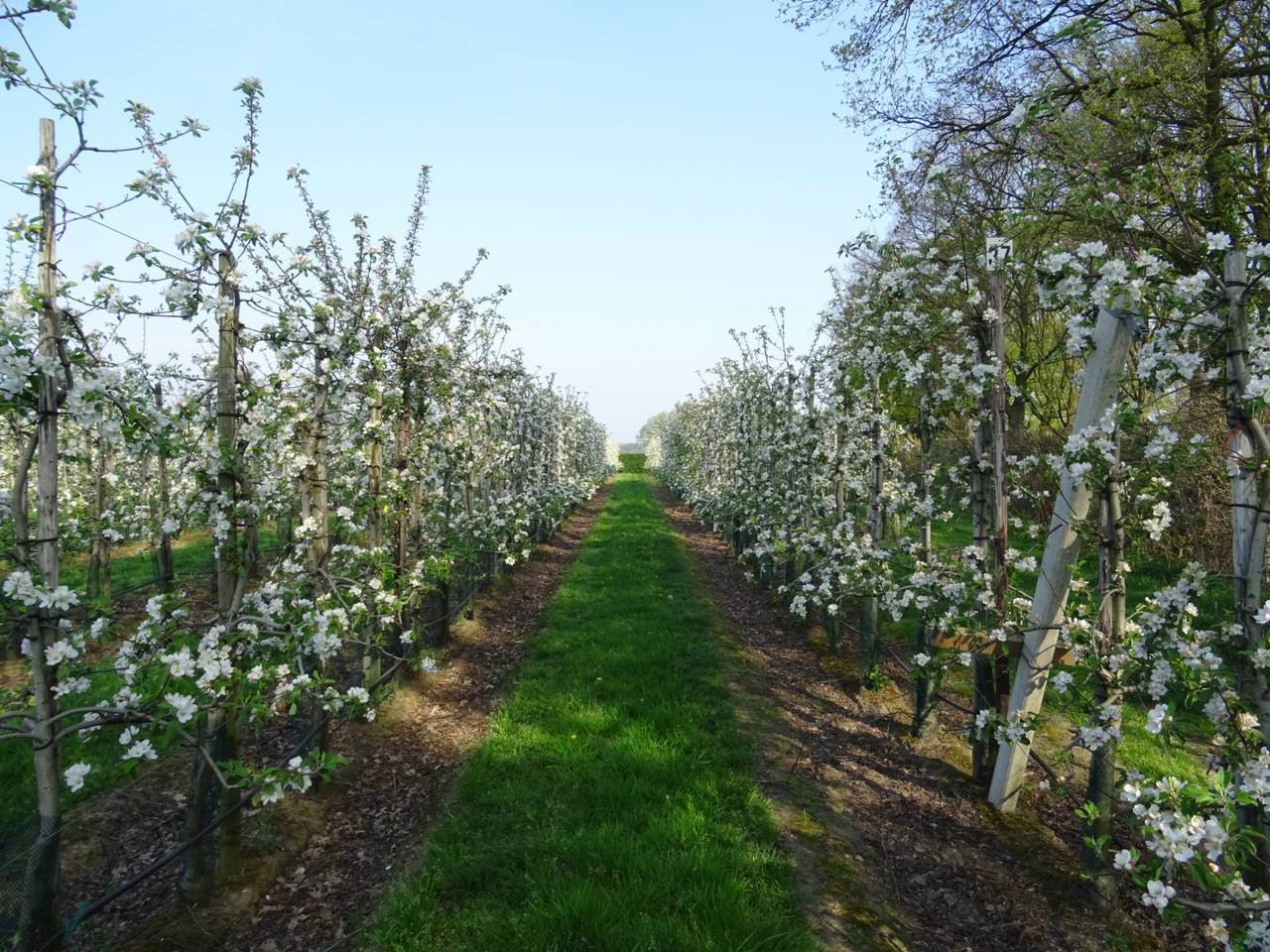 Omroep Brabant