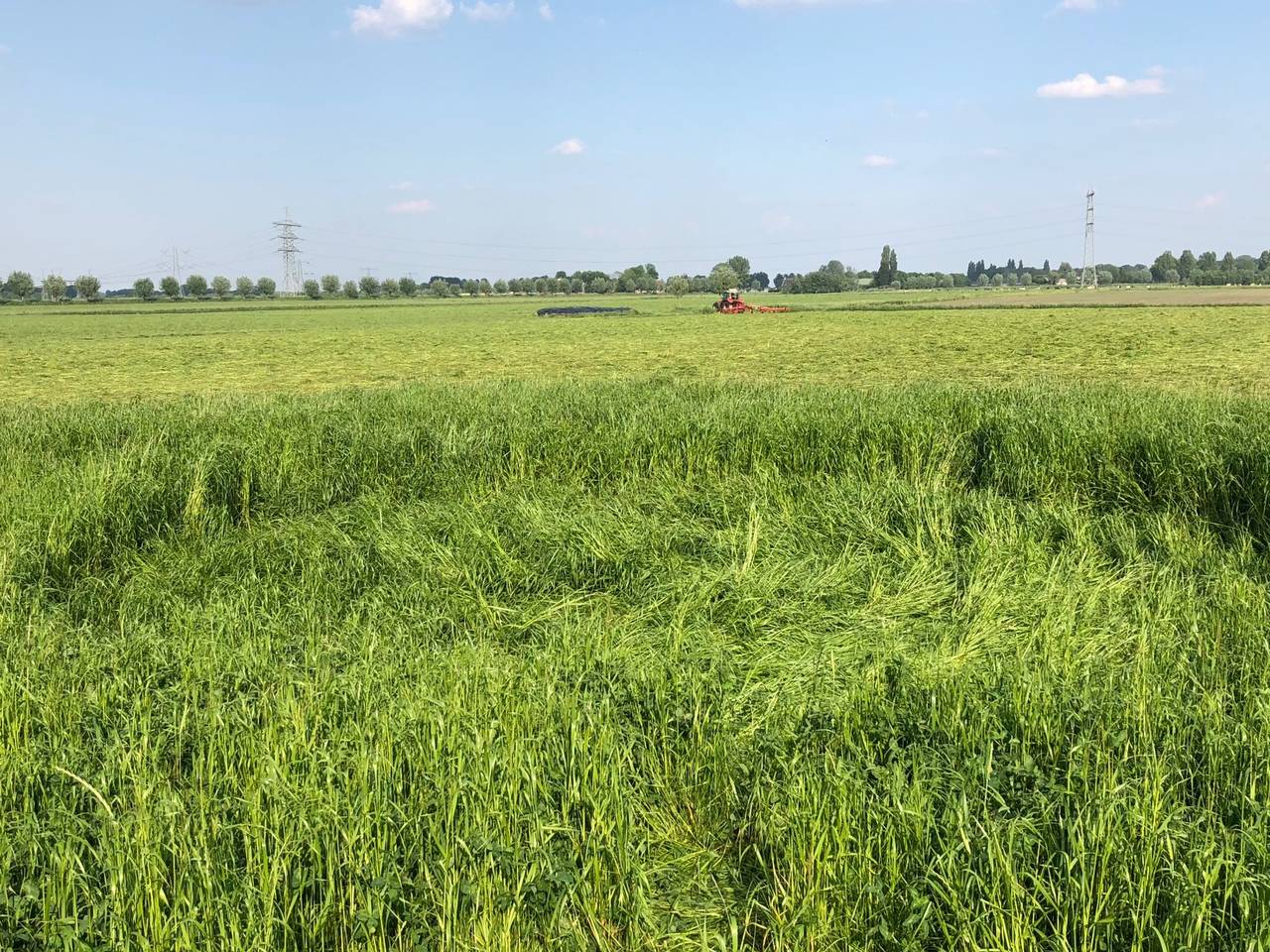Omroep Brabant