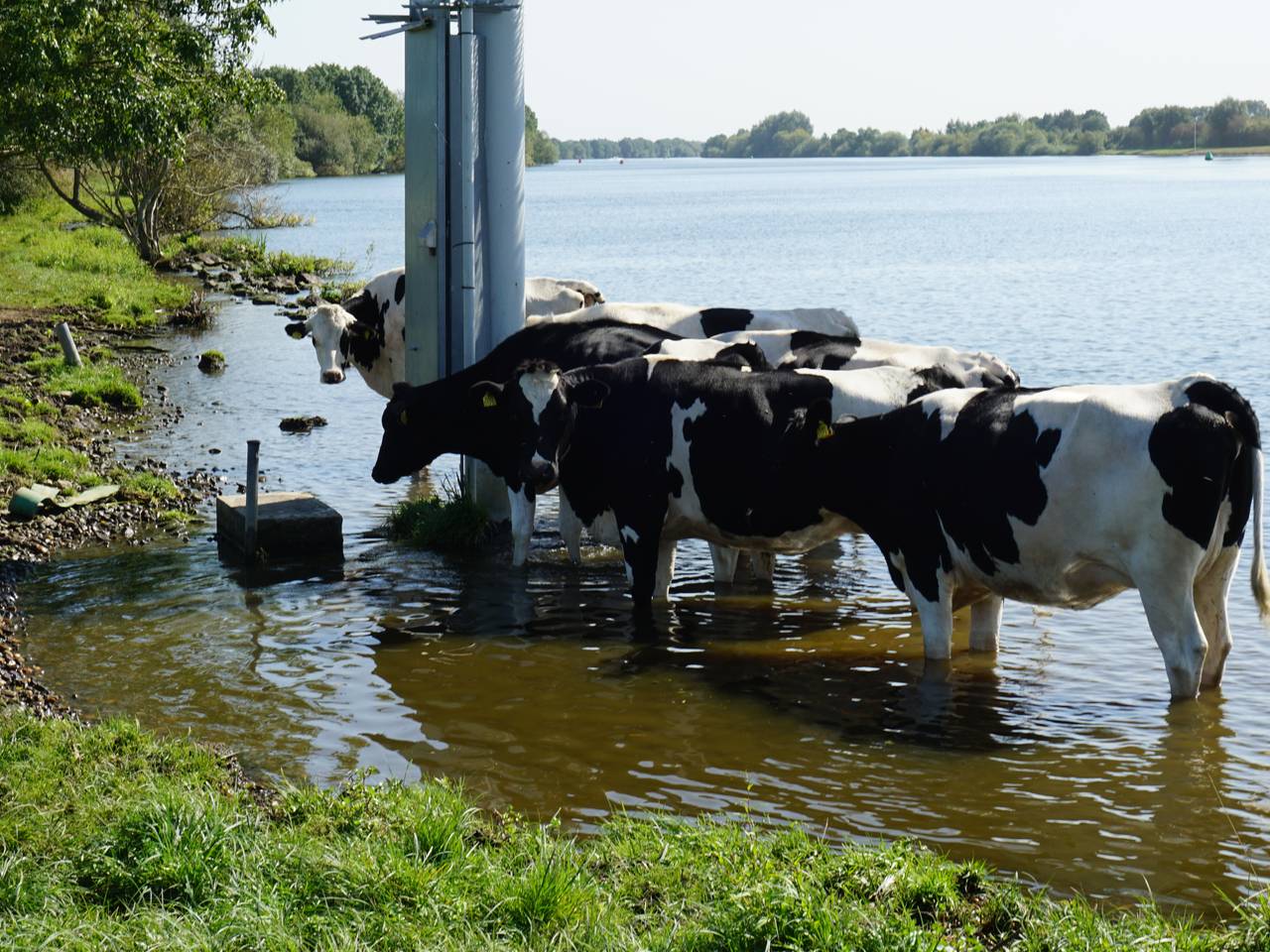 Omroep Brabant