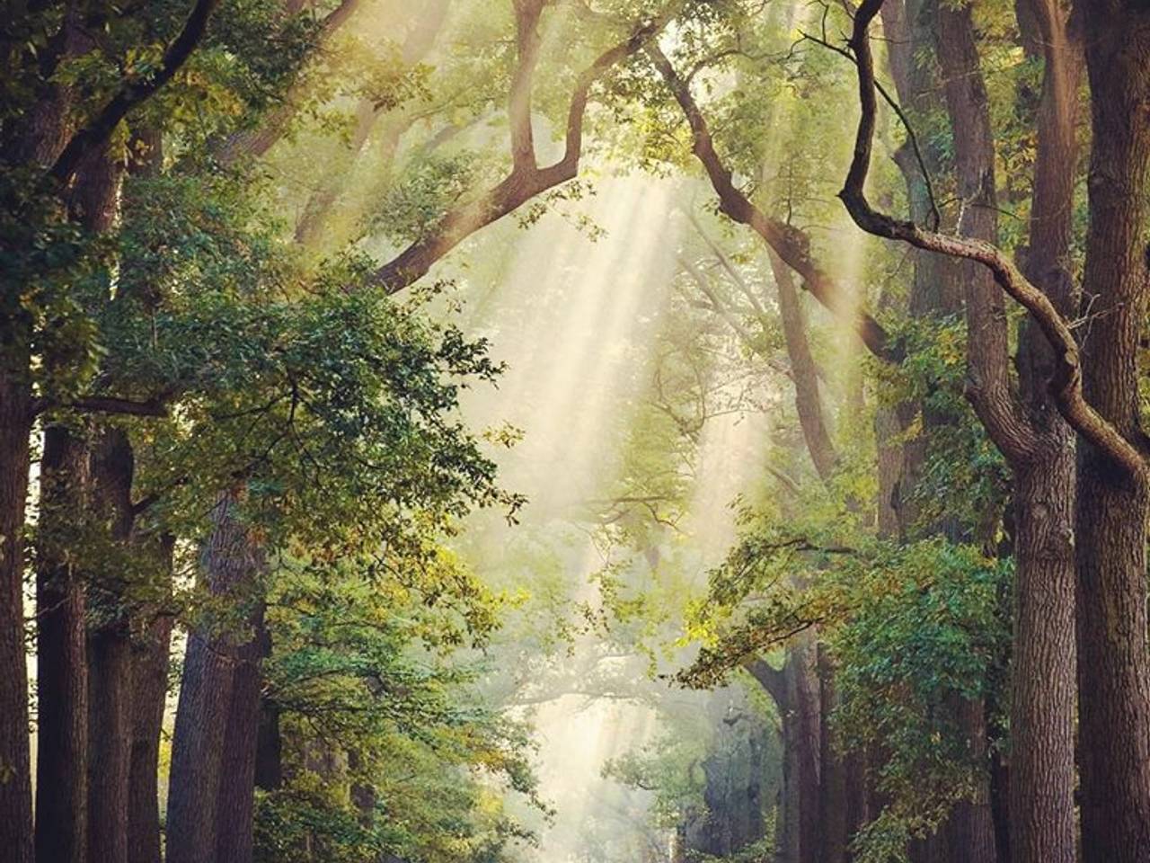 Omroep Brabant