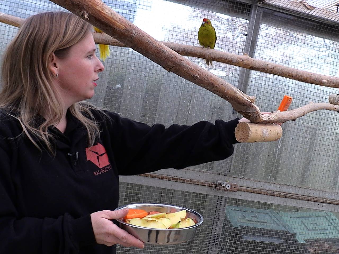 Samatha tussen de kararikies