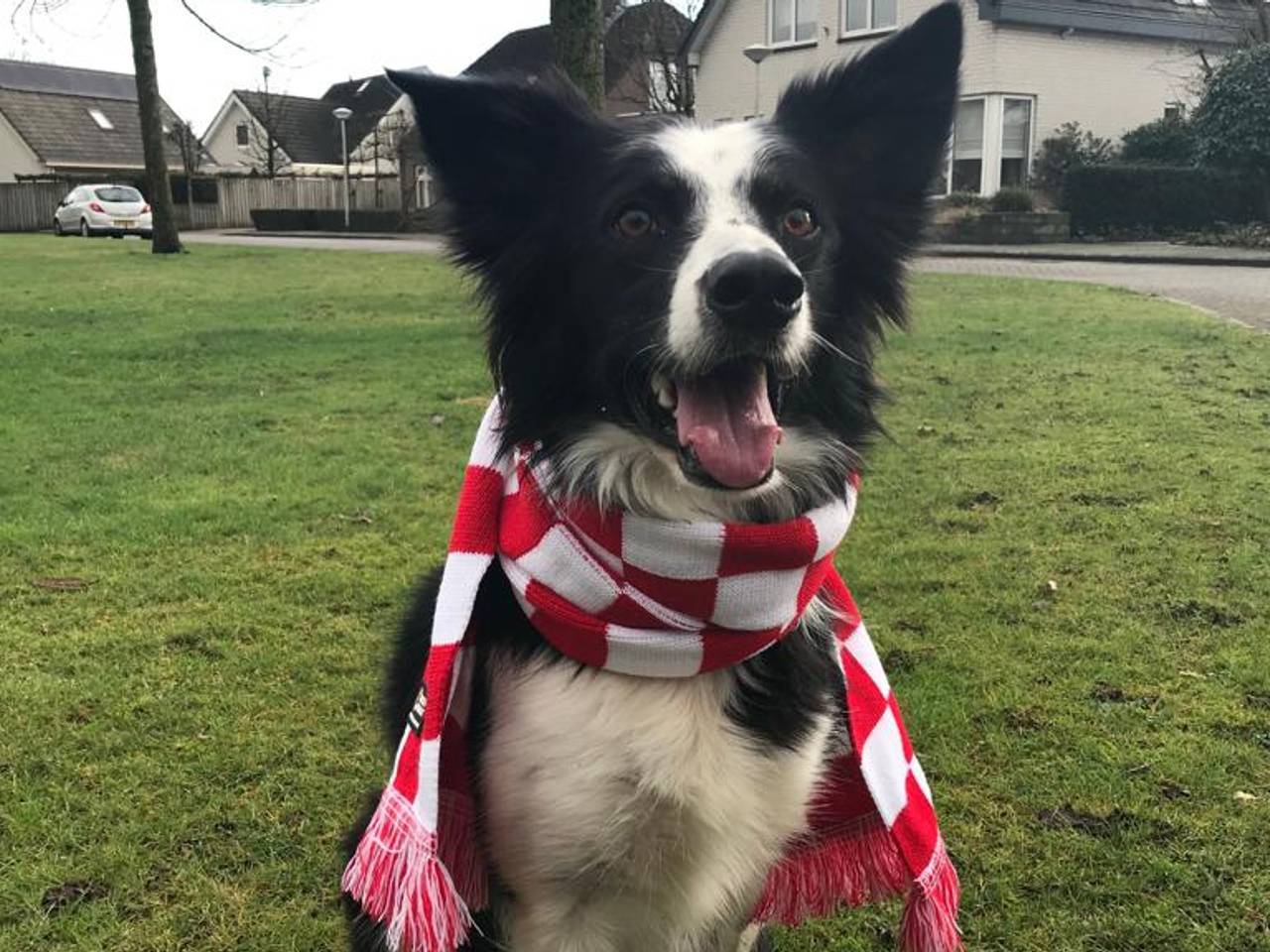 Zelfs hond Buddy kreeg een eigen sjaal. (foto: Raymond Merkx).