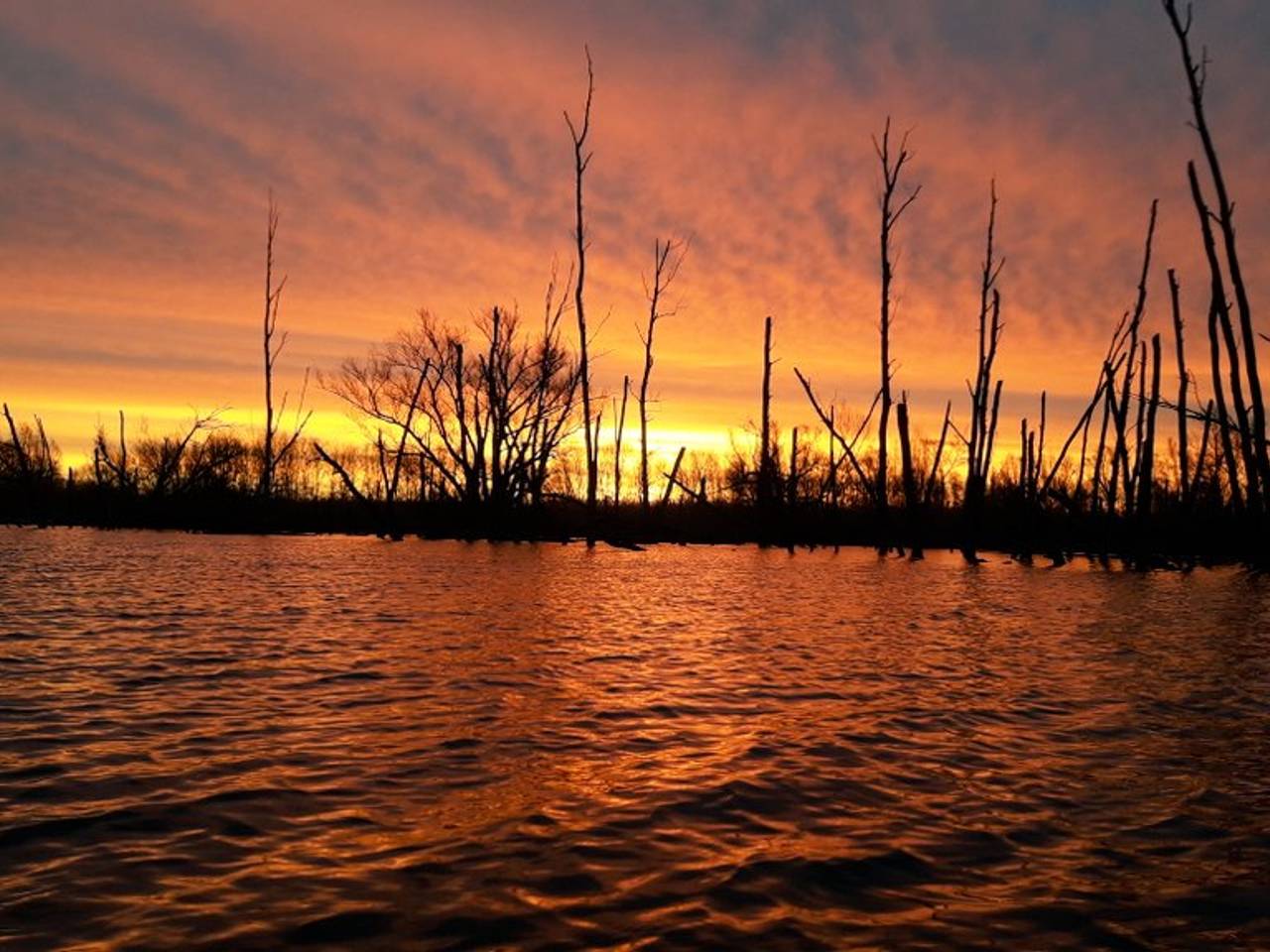 Omroep Brabant