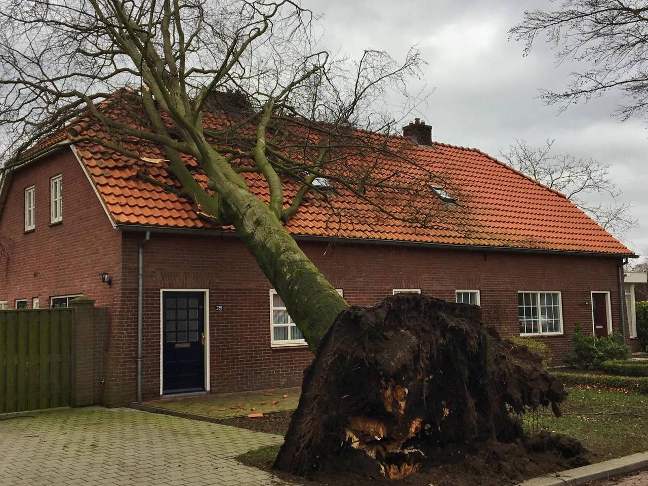 Boom kan de storm niet aan en valt op huis in Deurne. Foto: Martien van Dam/ SQVision