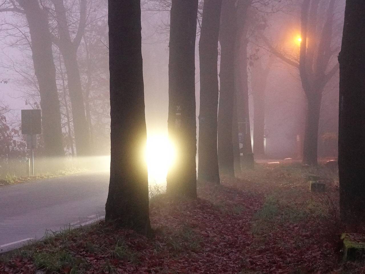 Mist in Budel. (Foto: Ben Saanen)