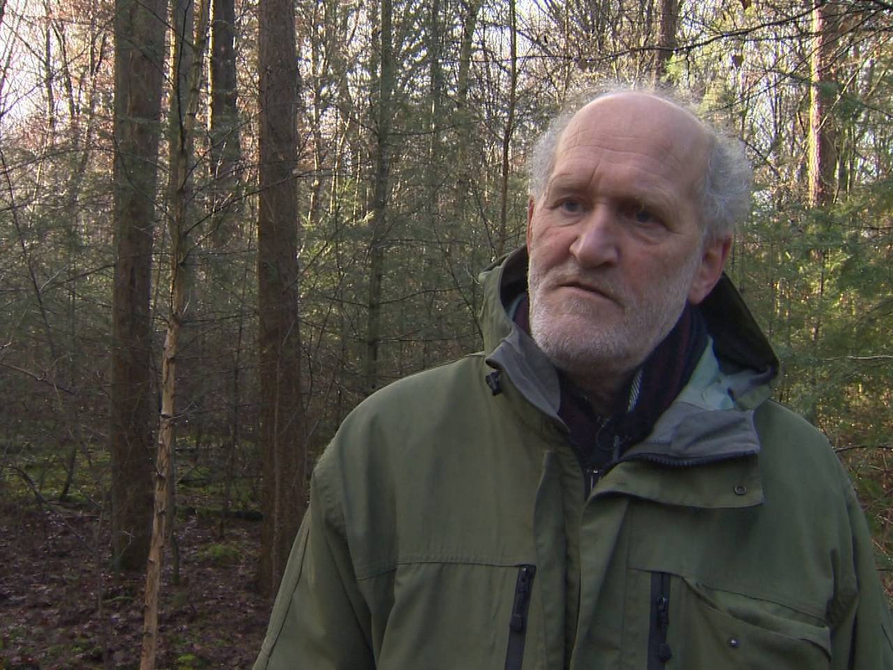 Boswachter Mari de Bijl over 40 miljoen extra bomen in Brabant