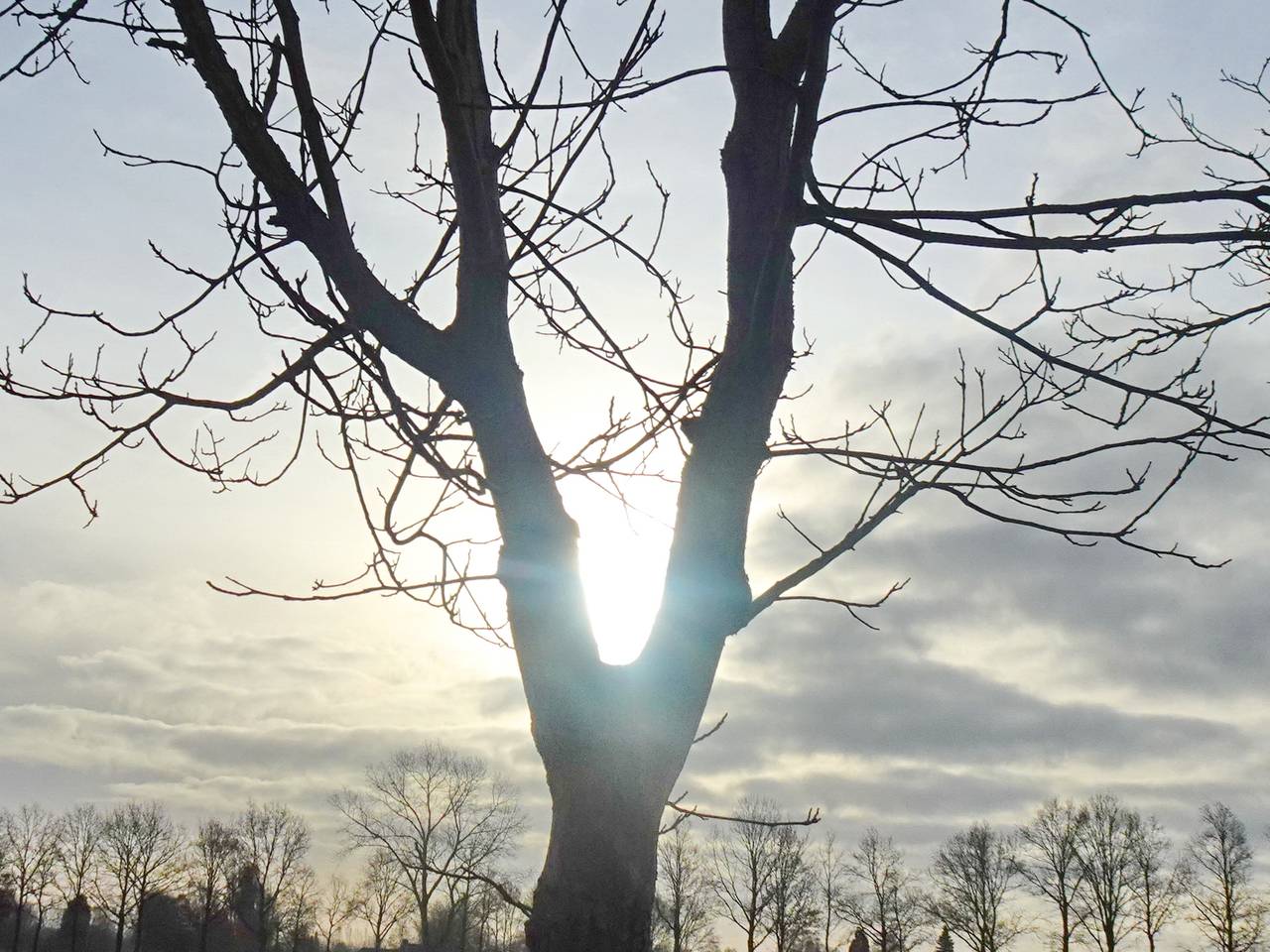 Een waterig zonnetje in Oirschot. (Foto: Peter van der Schoot)