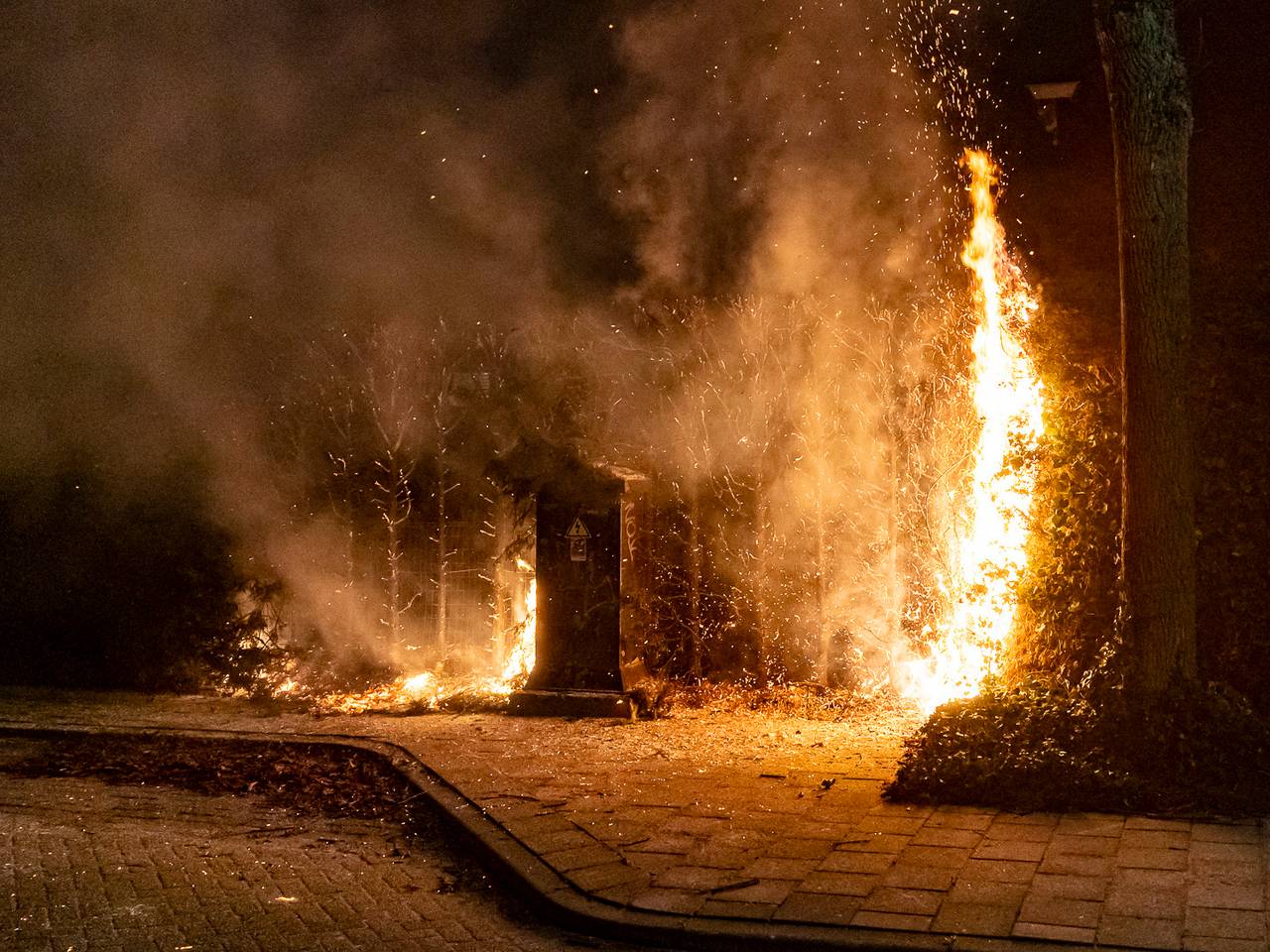 Op maandagavond zijn er coniferen aan de Resedastraat in Oosterhout in brand gestoken (Foto: Marcel van Dorst SQ Vision Mediaprodukties)