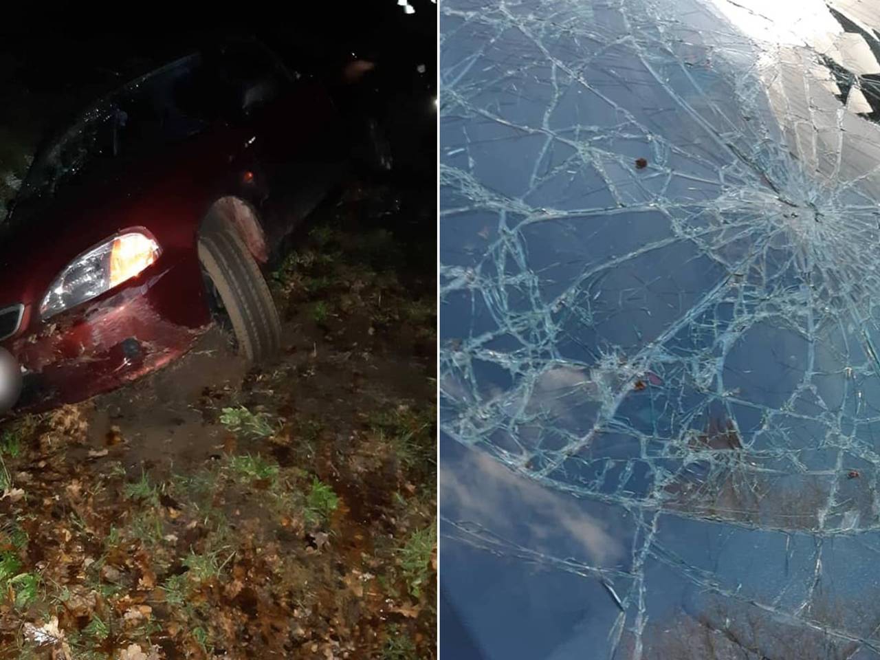 De automobilist kwam in het water terecht. (Foto: Facebook/Politie Cranendonck en Heeze-Leende)