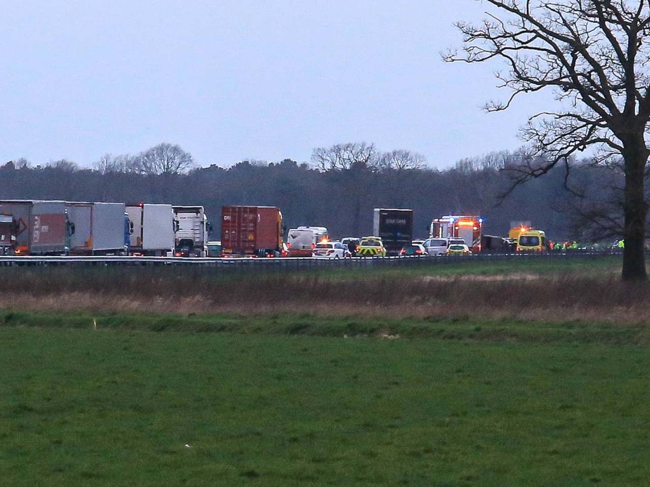 Foto: Harrie Grijseels