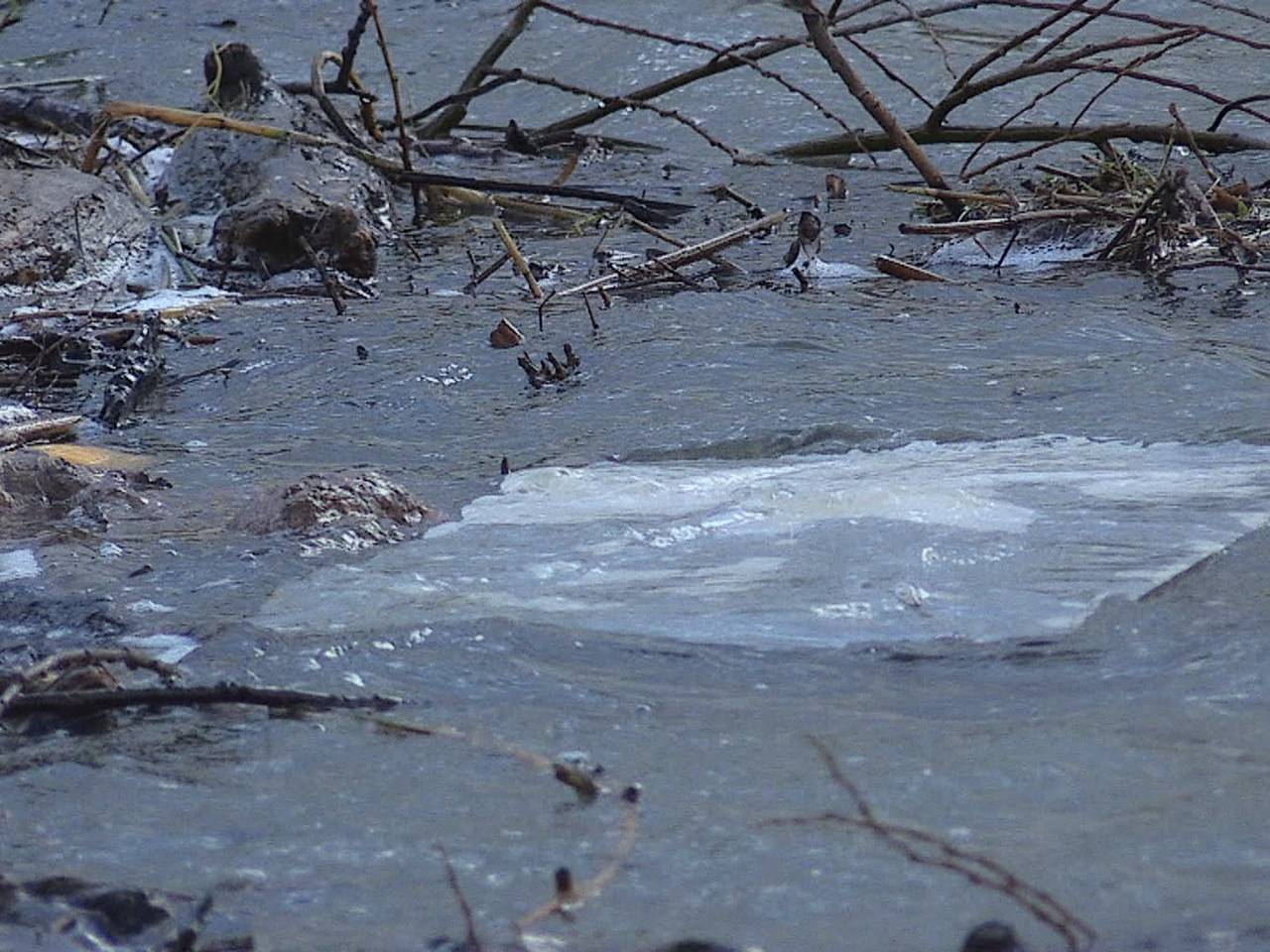Grote schoonmaak na overstroming van de Noordwaard, vrijwilligers gezocht