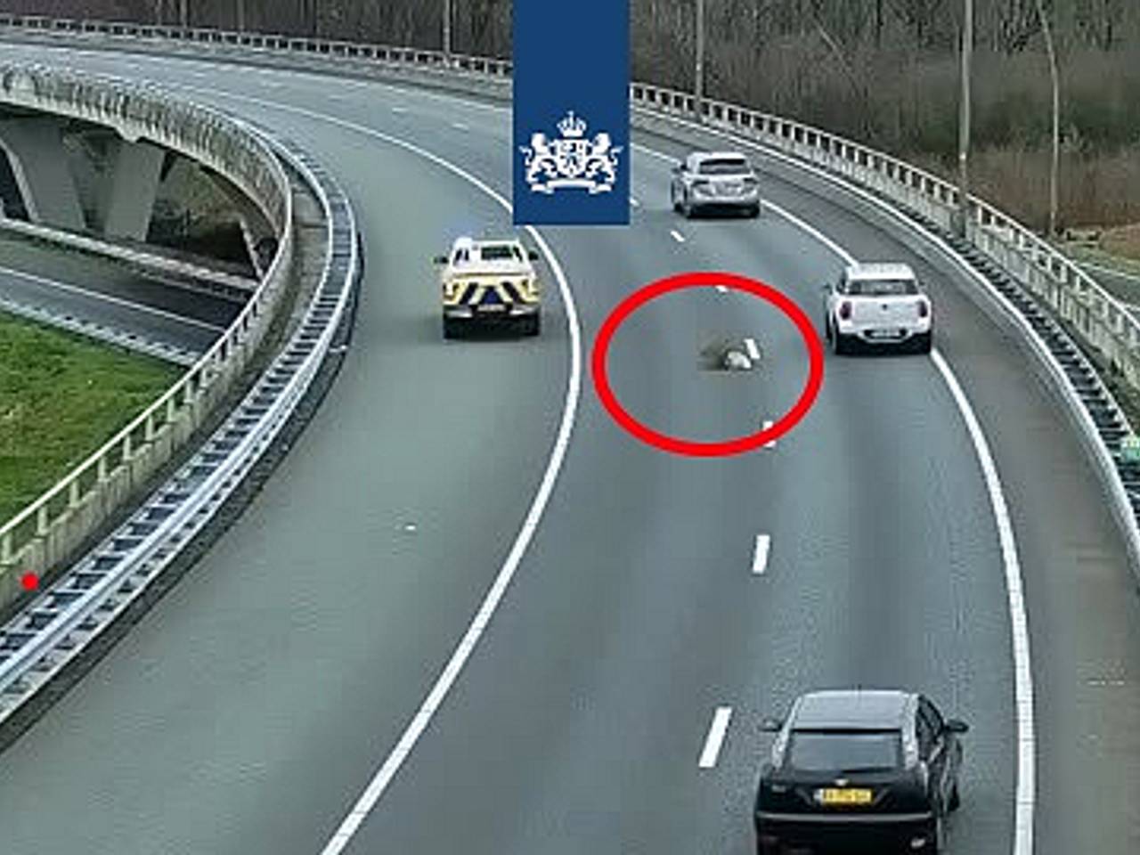 Een kerstboom midden op de N2 (foto: Rijkswaterstaat).