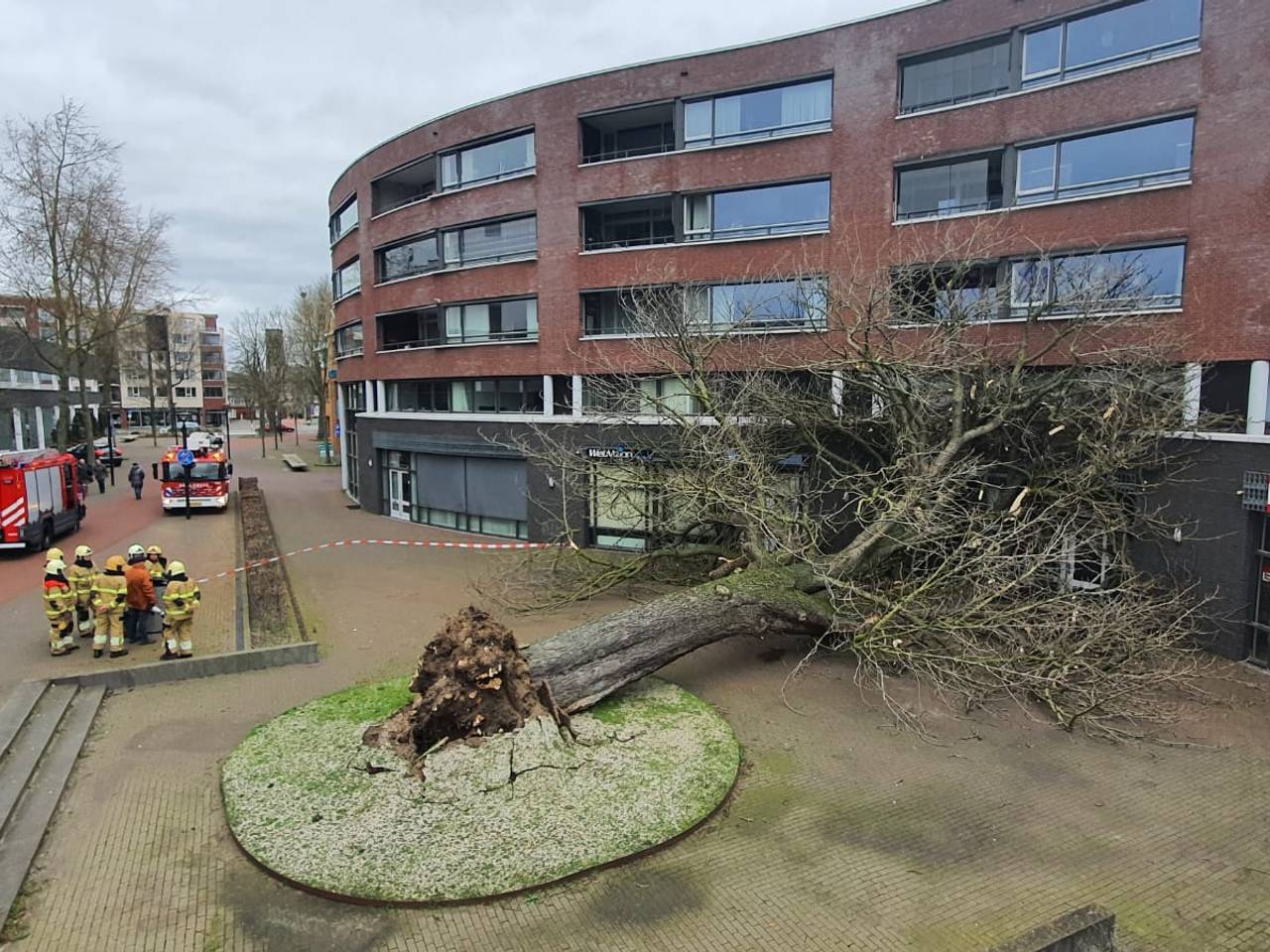 Boom valt op pand De Ridderhof in Oss