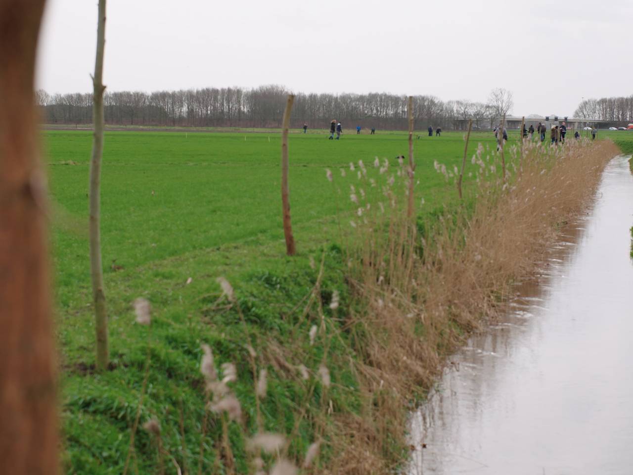 Bomen planten langs de Leij.