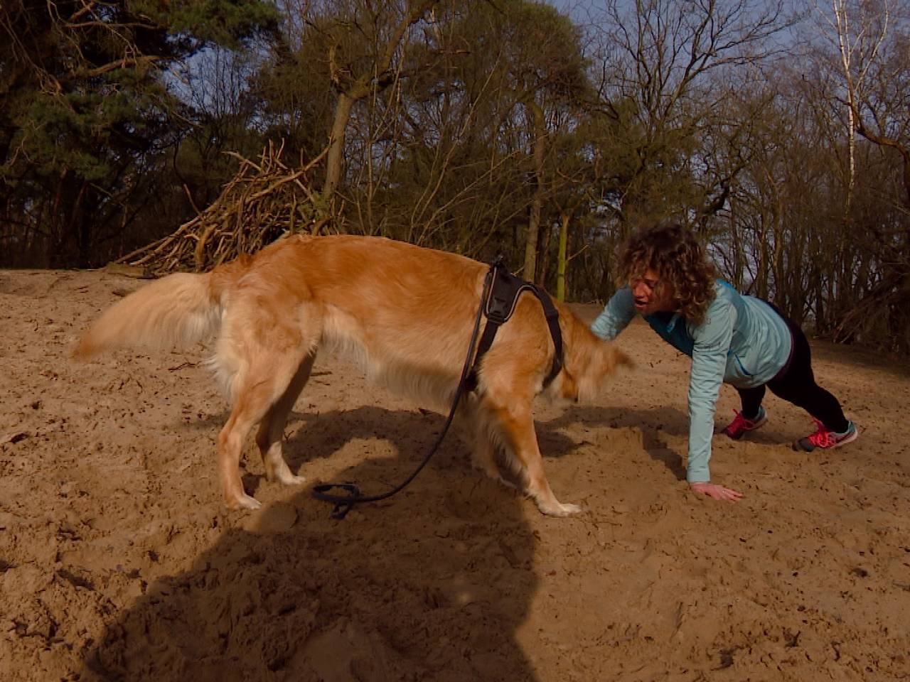 Woofcamp: Fit worden en tegelijkertijd je hond trainen.