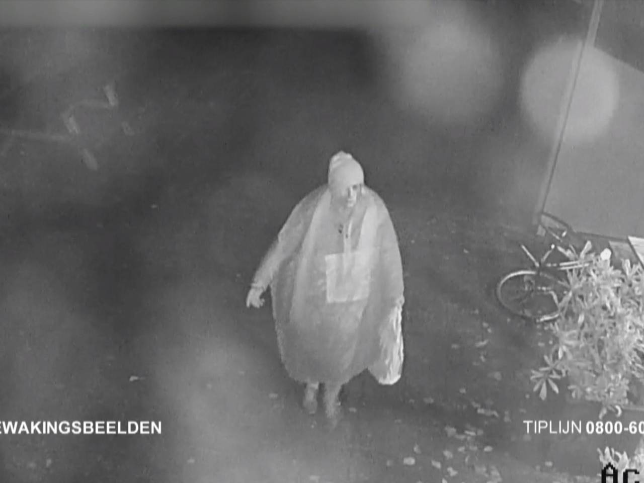 De dader op beveiligingsbeelden (foto: Bureau Brabant).