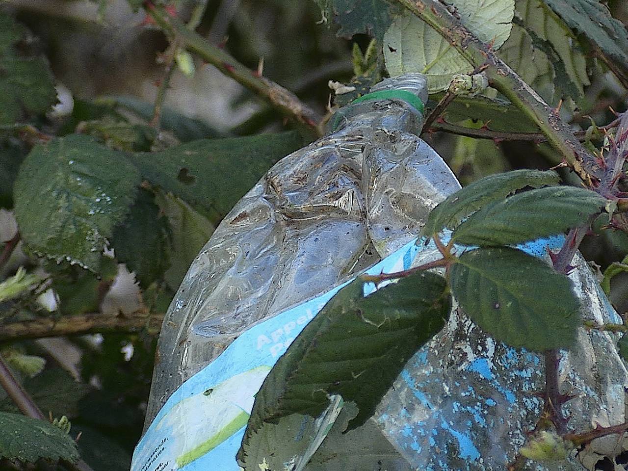Ook de uiterwaarden van de Bergsche Maas zijn toe aan een schoonmaakbeurt