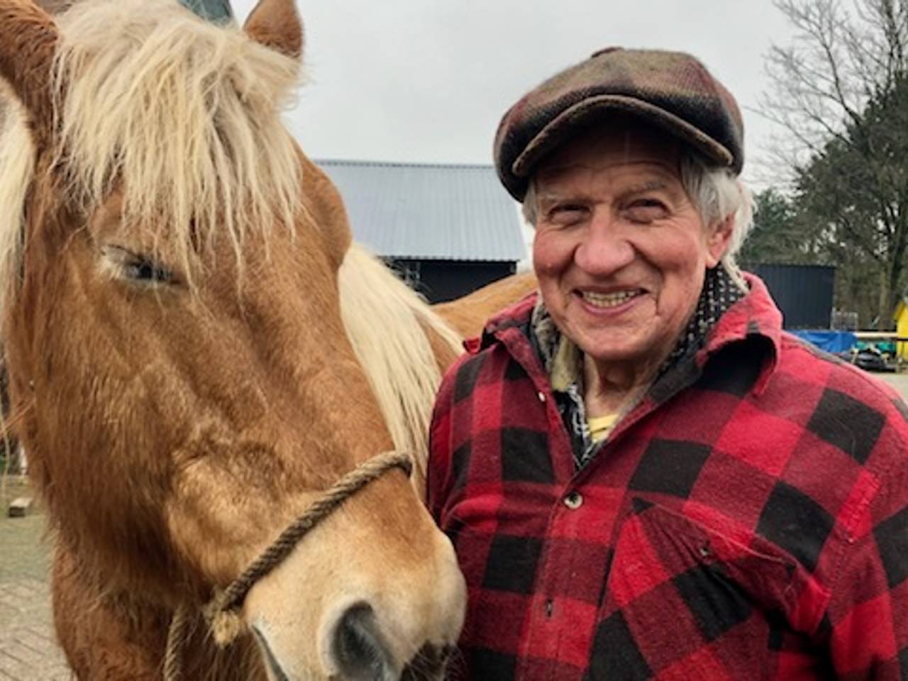 Boer Sjef zwoegt nog regelmatig met paard en ploeg op zijn akker: 'Je ziet het niet vaak meer'