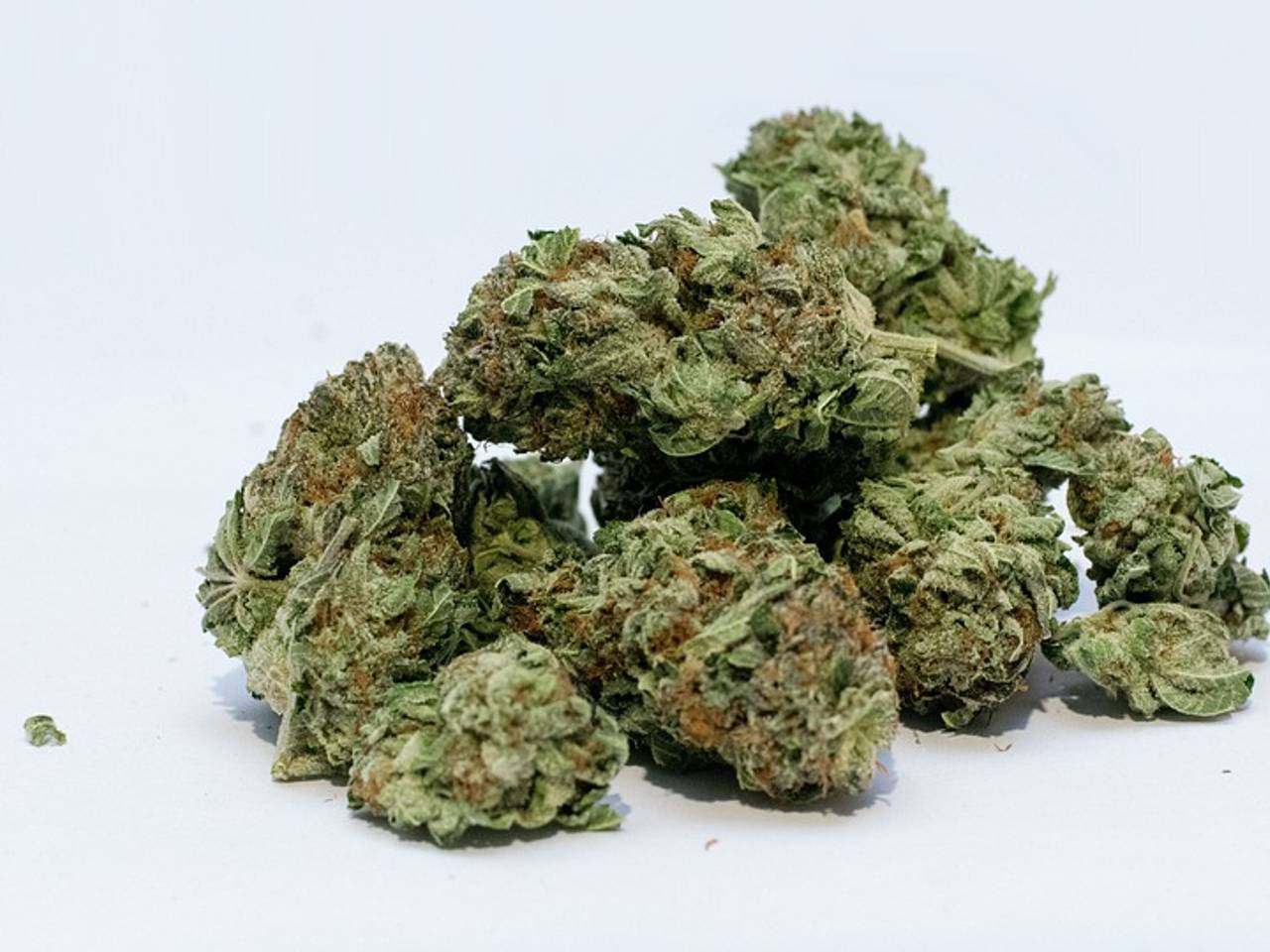 Wiet kun je zo niet opeten, weet nu ook de 17-jarige jongen uit Etten-Leur. (Foto: Pixabay)