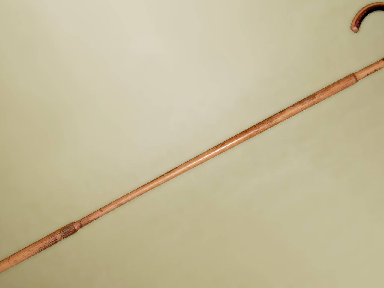 Een wandelstok (foto: Wikimedia Commons).