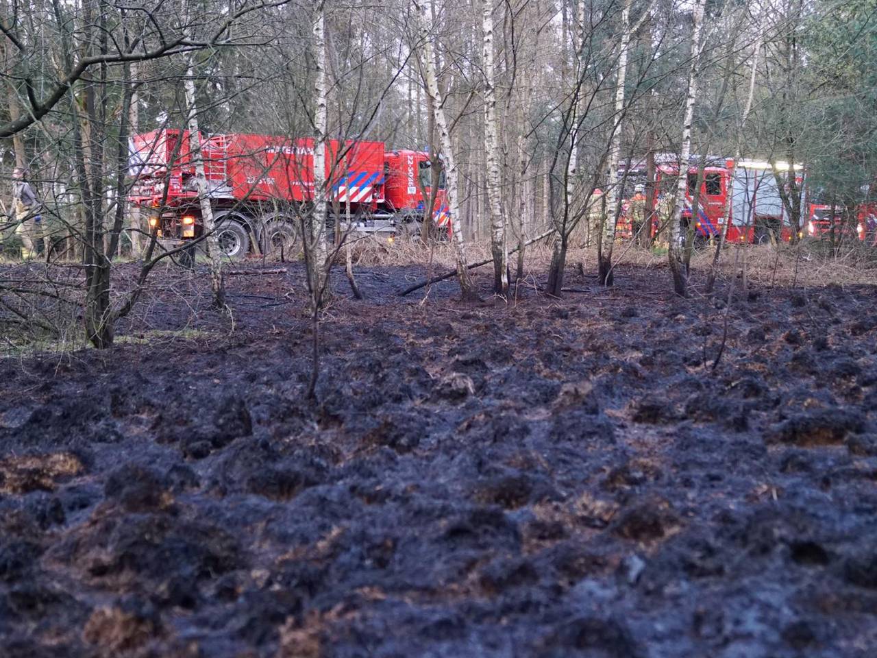 Ongeveer een halve hectare stond in brand. (Foto: SQ Vision mediaproducties)