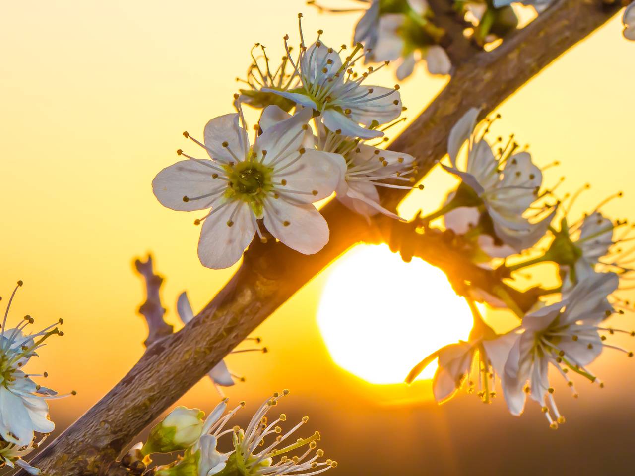De zondag begon koud (foto: Ab Donker)