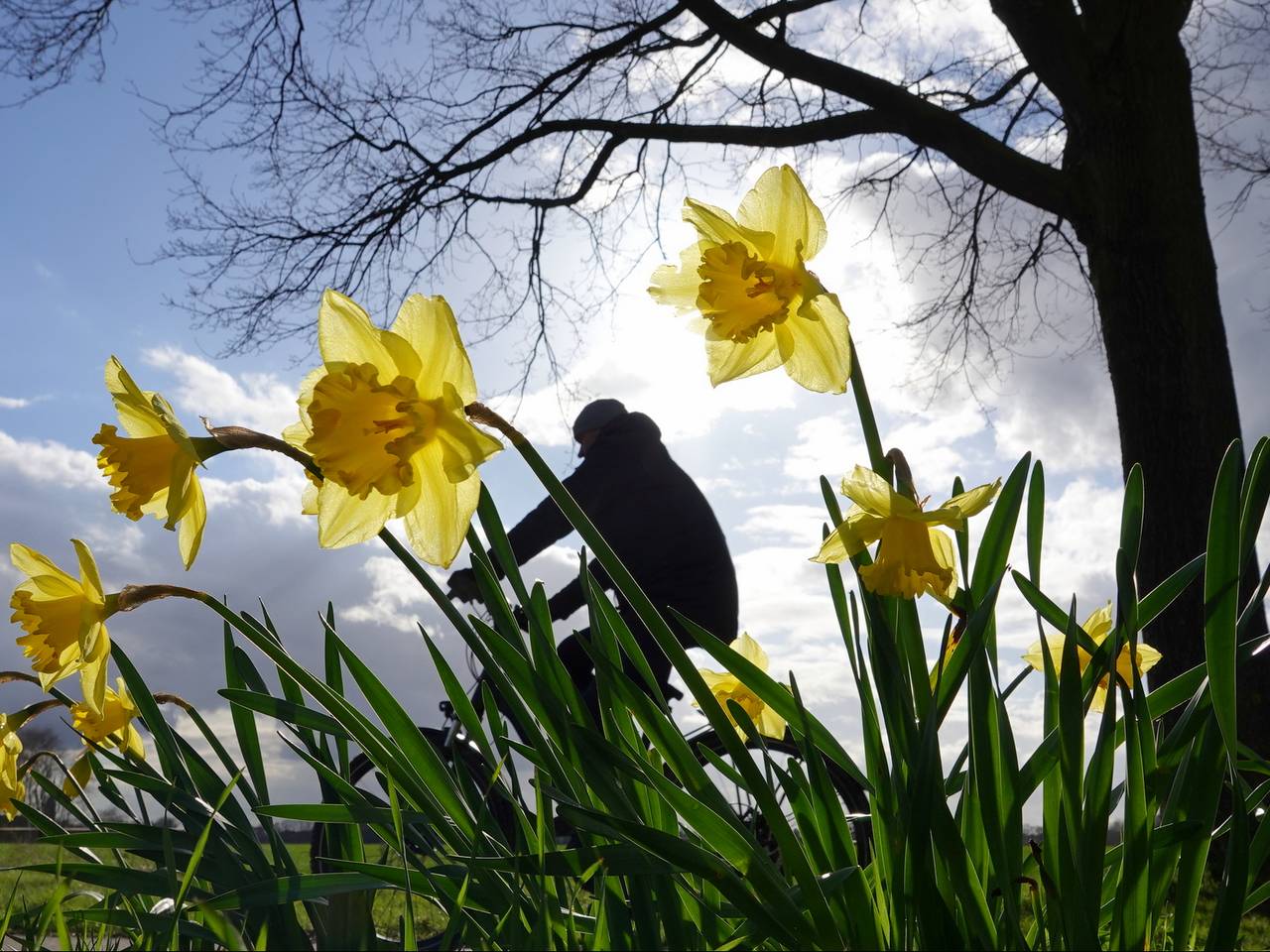 Dit weekend krijgen we een mix van wolken en zon (foto: Ben Saanen).