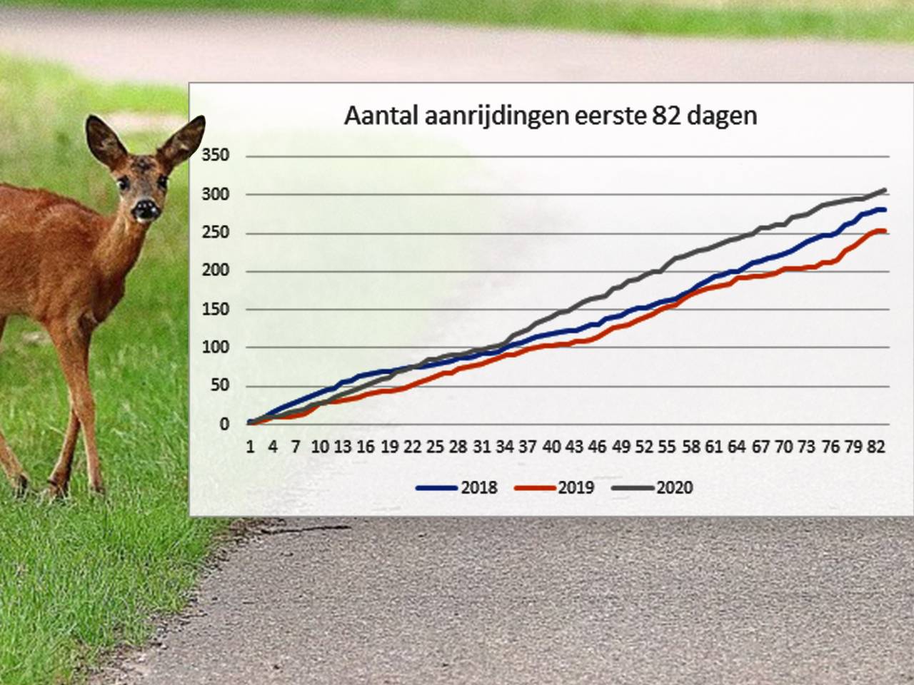 Een overzicht van het aantal verkeersdoden onder dieren (bron; SMAF).