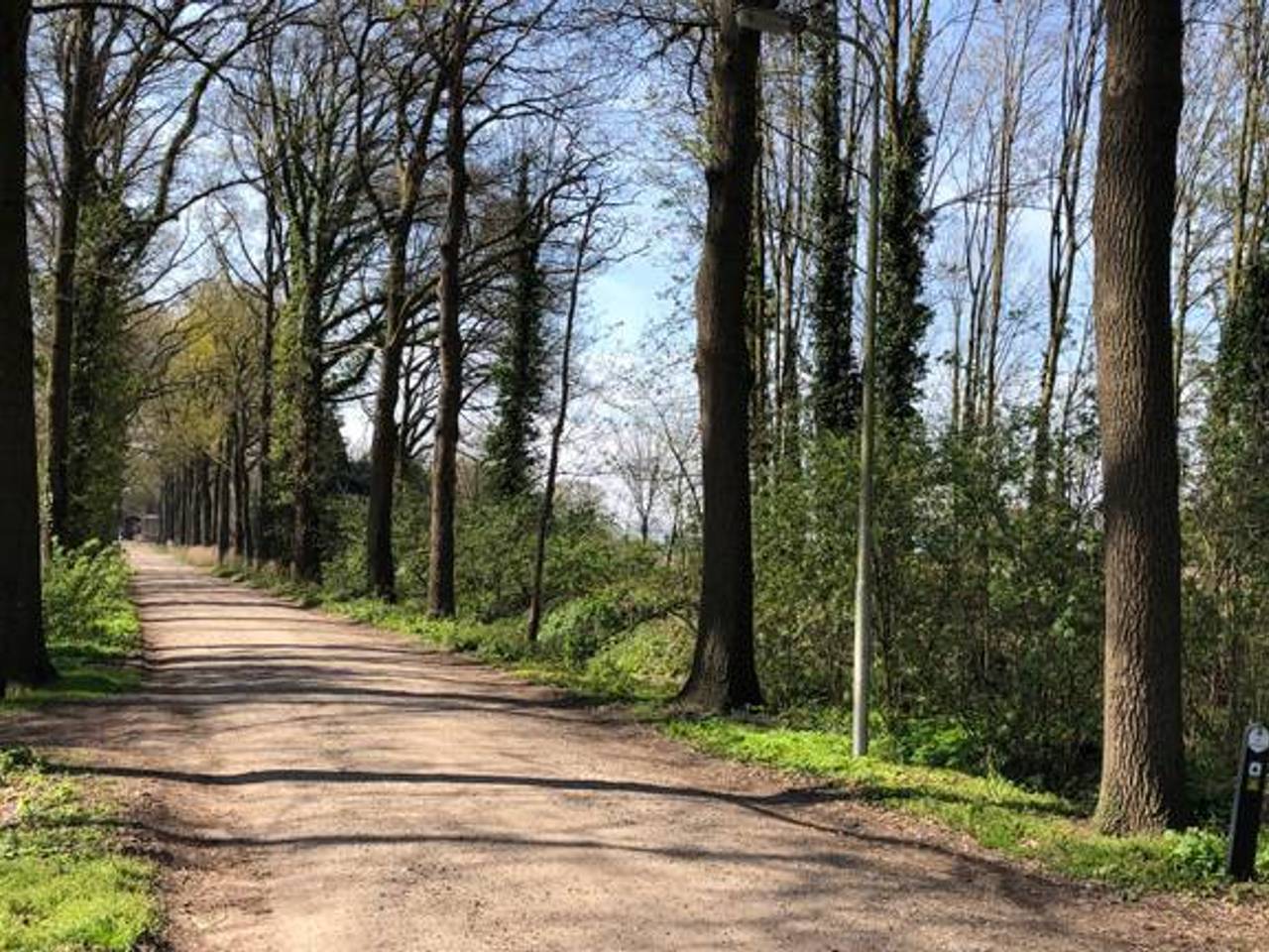 De Kasteellaan bij Asten-Heusden, vroeger al berucht vanwege potloodventers.