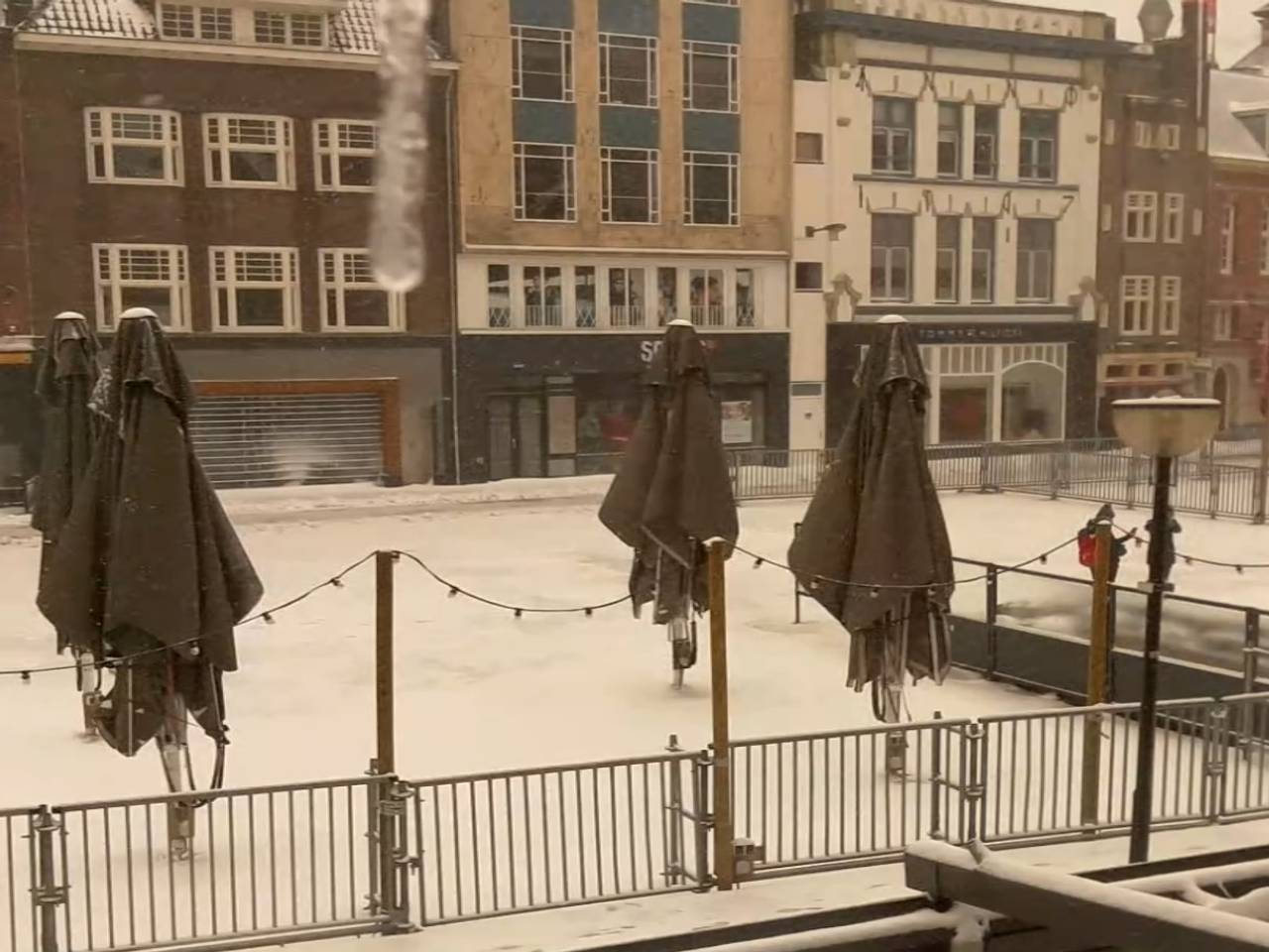 Beeld vanuit De Wildeman.