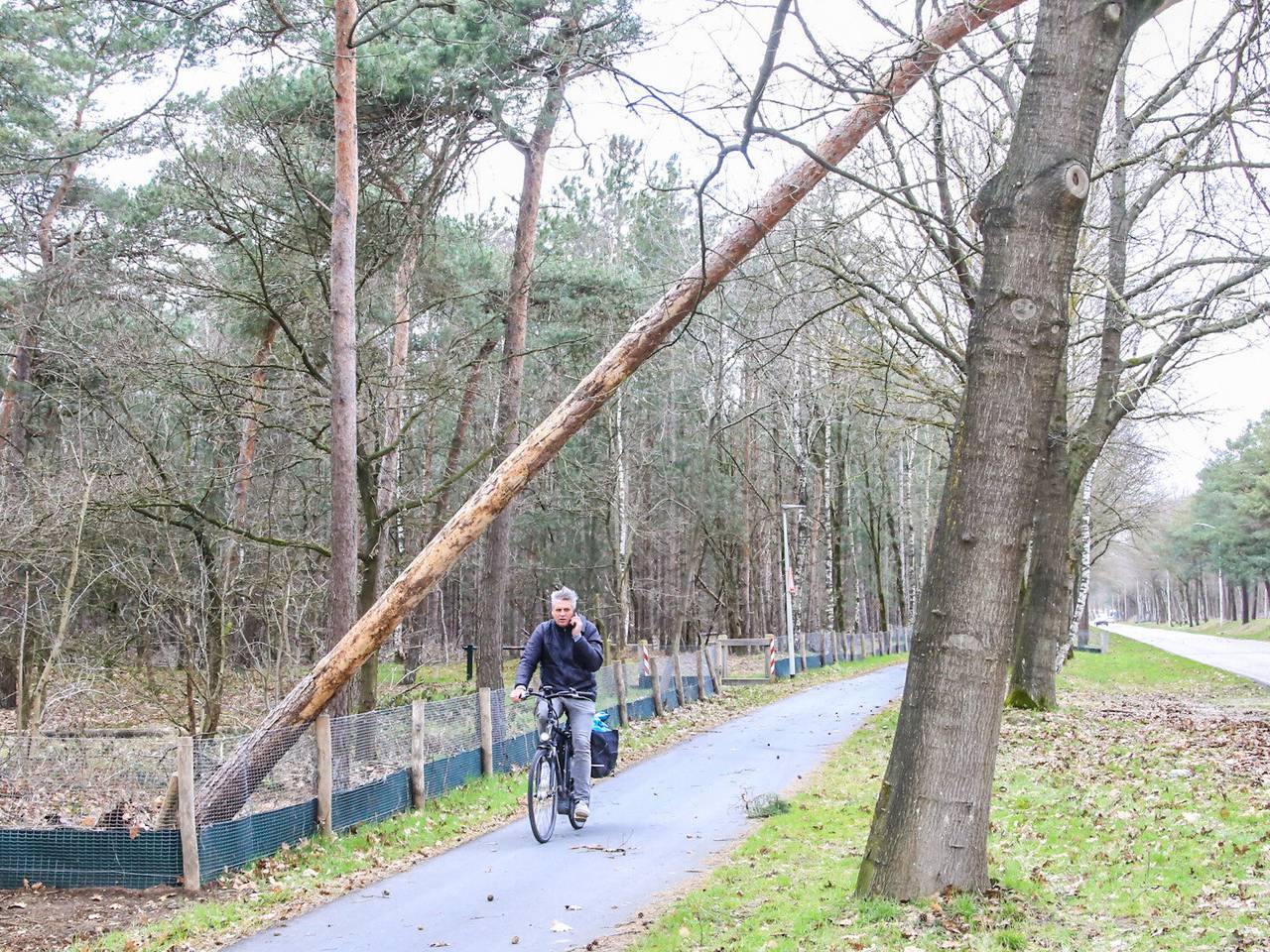 Omroep Brabant